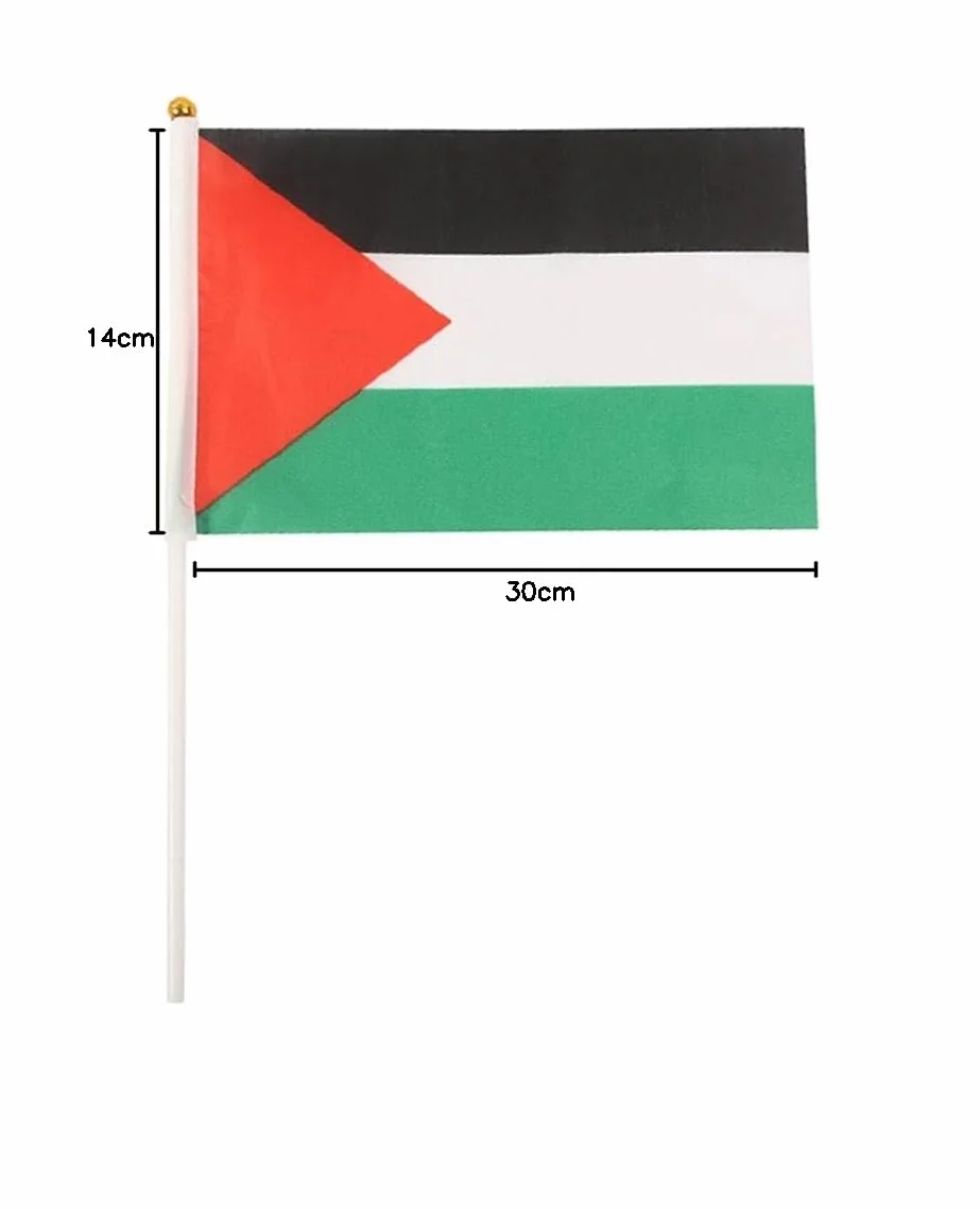 Palestina bandiera palestinese con palo I Stand mano sventolando