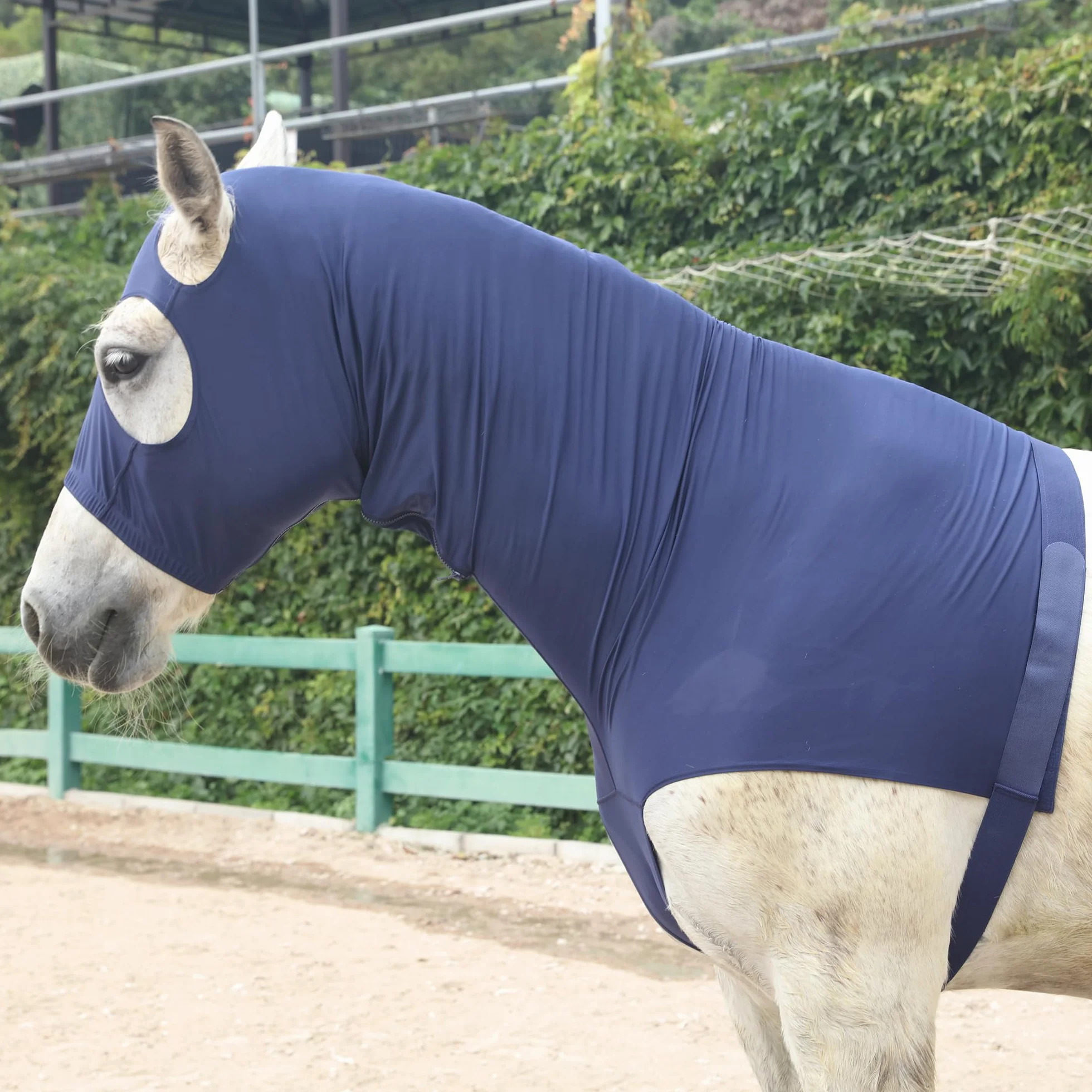 Leberna Hood cavallo lycra elasticizzata con zip - copertura del collo pieno volto XL Blu marino