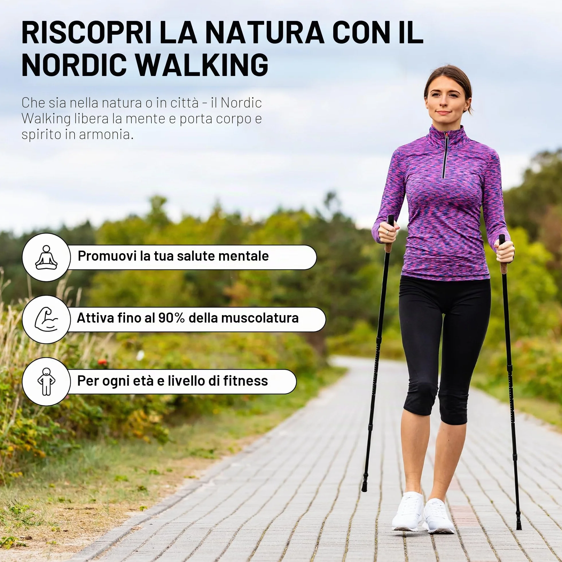 MSPORTS Bastoncini Nordic Walking Premium Antracite Ultraleggero Walking Sticks