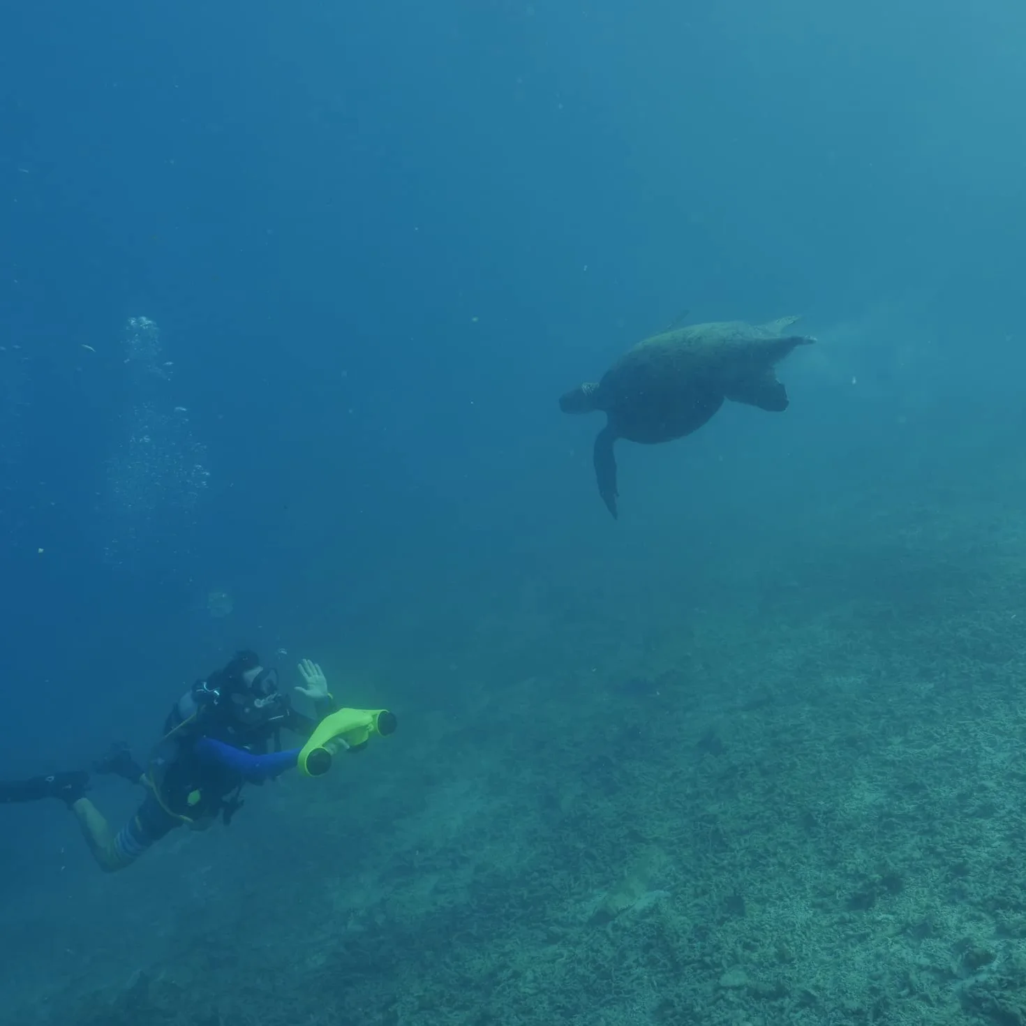 Asiwo Seascooter Elettrico Subacqueo con Action Camera Mount - Scooter Marino a Doppio Motore Impermeabile per Immersioni e Snorkeling