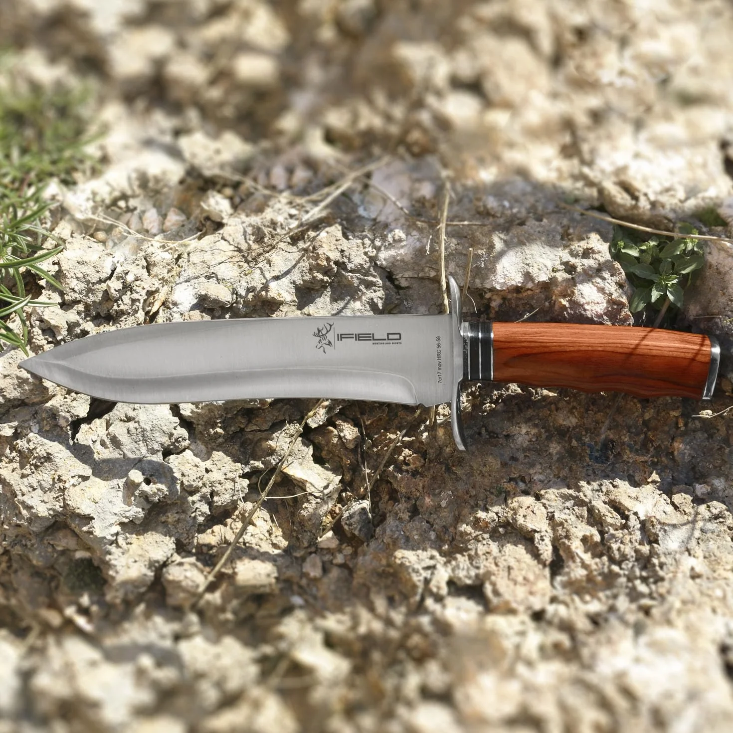 iFIELD EL29011 Coltello multifunzionale per escursioni, caccia e sopravvivenza all'aperto, acciaio inossidabile 7Cr17 e manico in resistenza marrone con distanziali in pelle