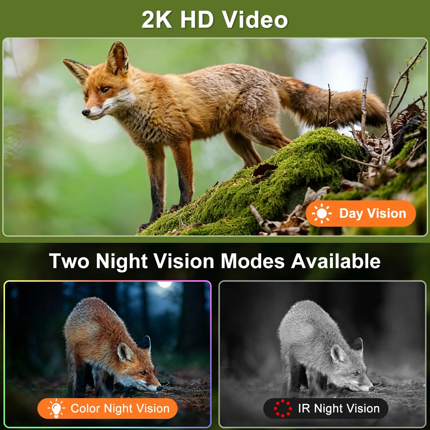 LEMNOI Fototrappola 4G con SIM Inclusa, 2K Fotocamera da Caccia, Telecamera Solare PTZ, Visione Notturna a Colori, IP66 Impermeabile
