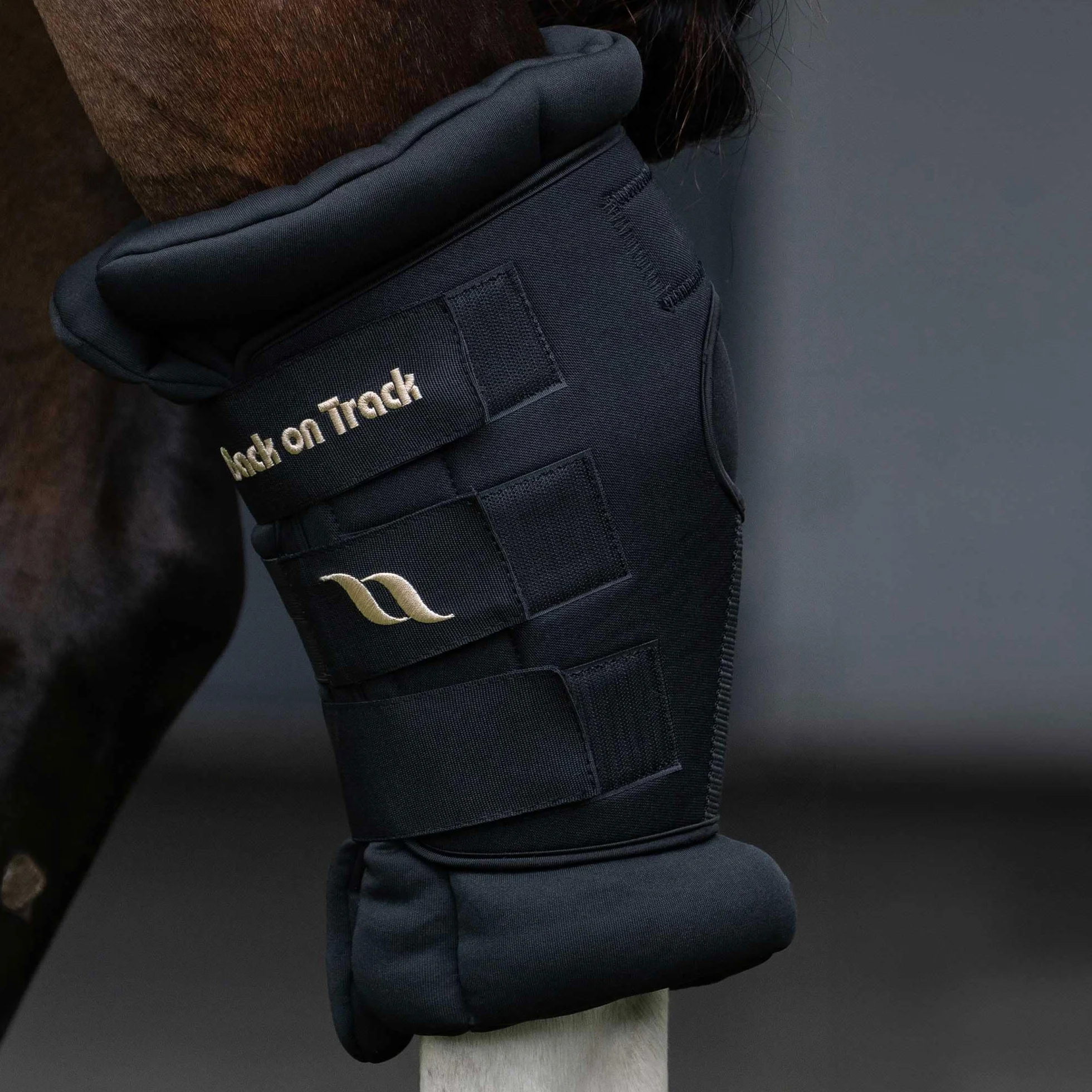 BACK ON TRACK Royal Deluxe - Stivali da salto imbottiti con fori