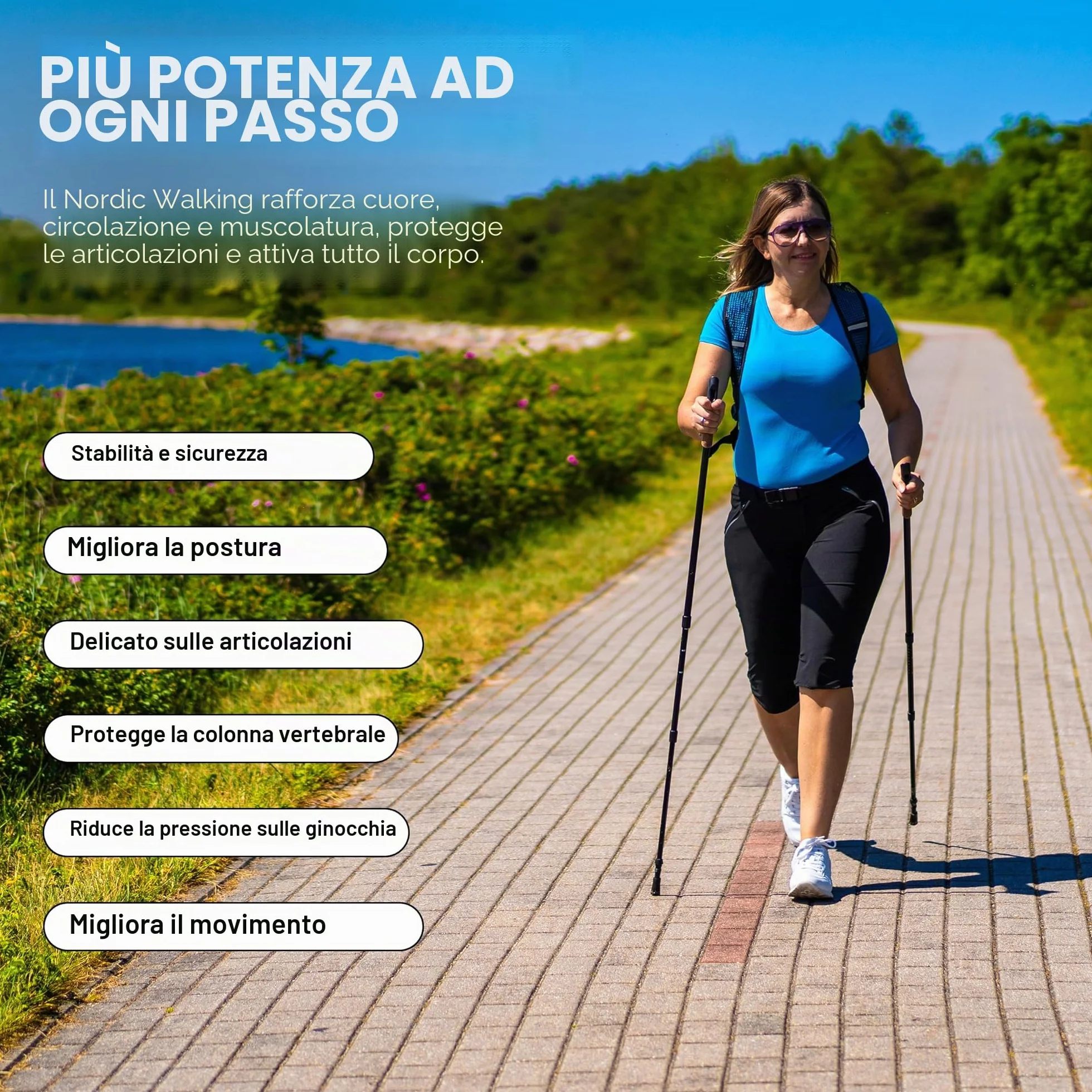 MSPORTS Bastoncini Nordic Walking Premium Antracite Ultraleggero Walking Sticks