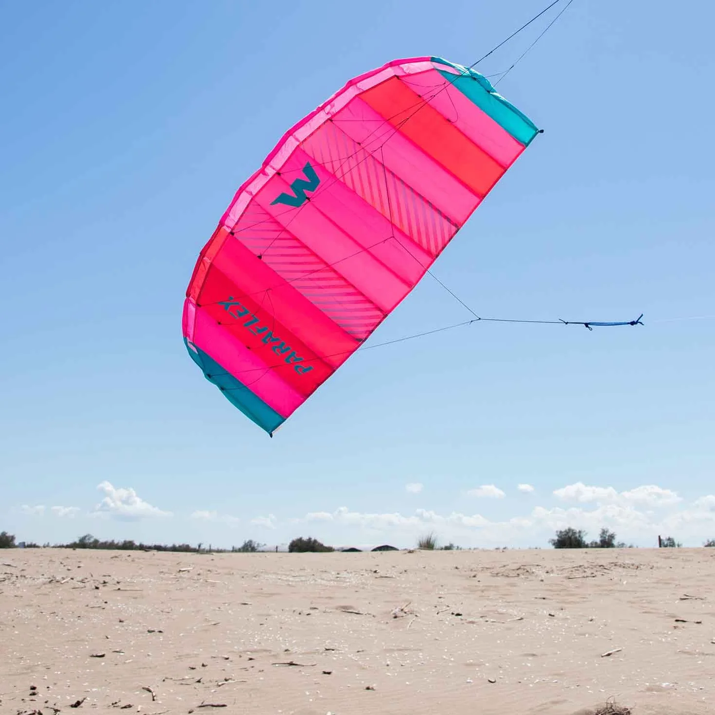 Wolkenstürmer Paraflex Basic 1.7 Aquilone pilotabile, poliestere Ripstop 70D, rosa, 170 cm, da 14 anni, 2 righe 45 kg