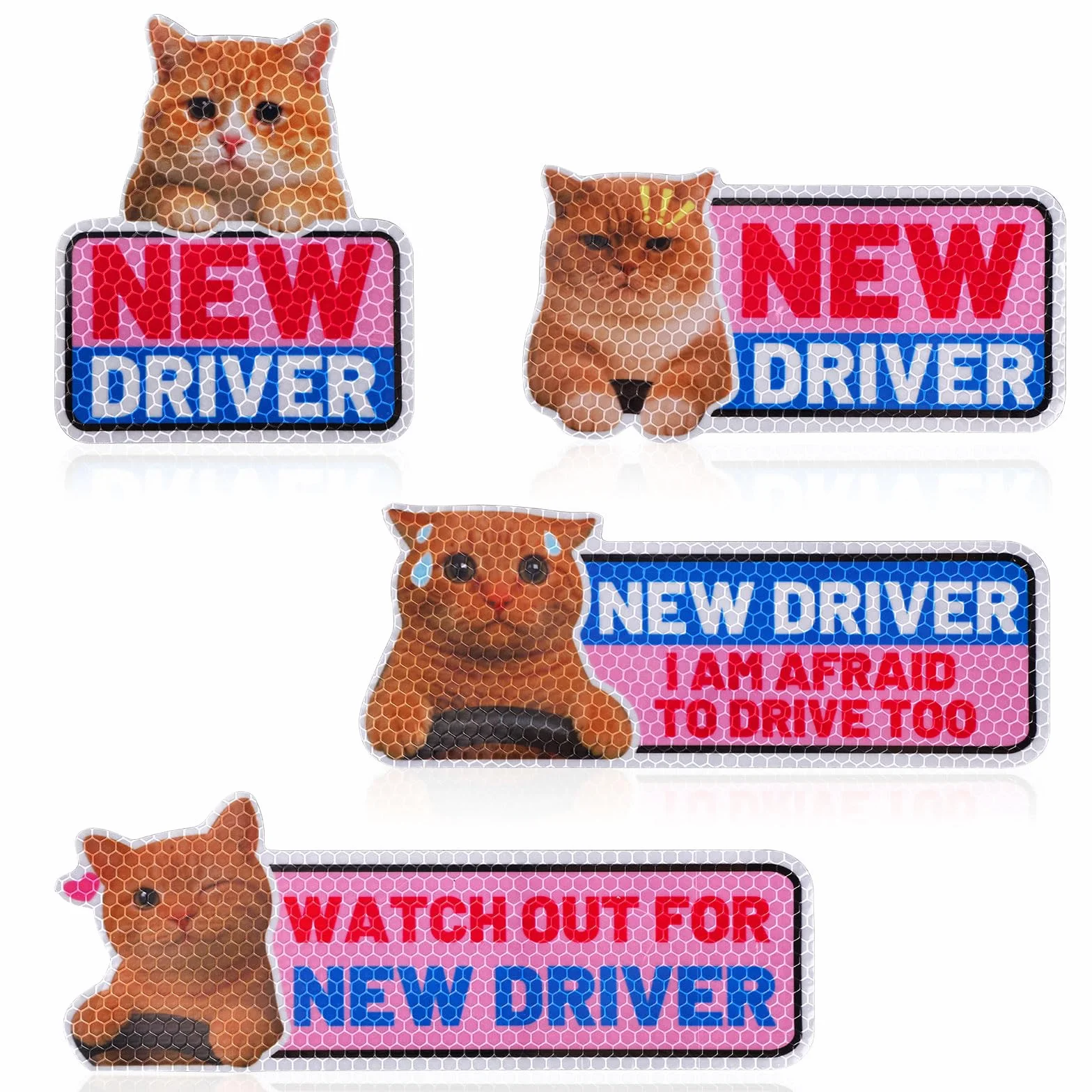 4pz Magneti Auto Gatto Divertente New Driver, Cartelli Riflettenti Studente Nervoso Gatto Carino Adesivi Magnetici Paraurti Riutilizzabili Avviso Sicurezza per Regali Principiante Neopatentato