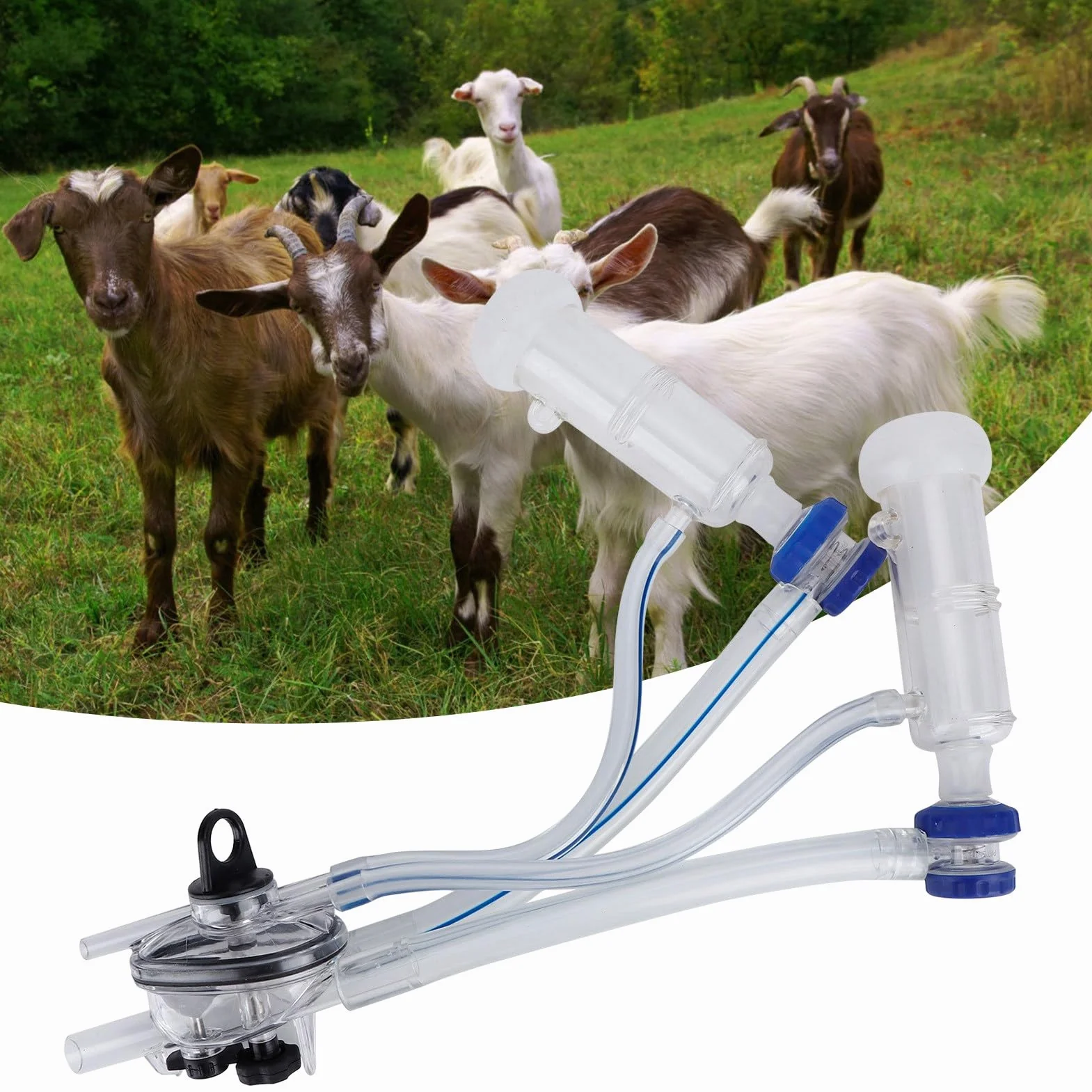 Pecora da mungitura, set di tazze da tettarella in silicone e plastica per macchina milker, 42x21x10 cm