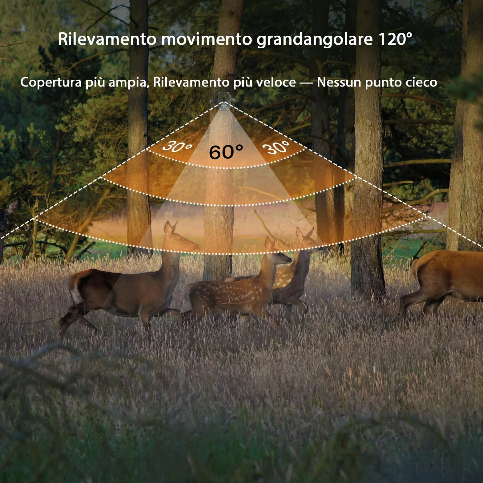 GardePro E8 2.0 Fotocamera da Caccia 64MP 4K H.264 WiFi Bluetooth Visione Notturna 30m IP66
