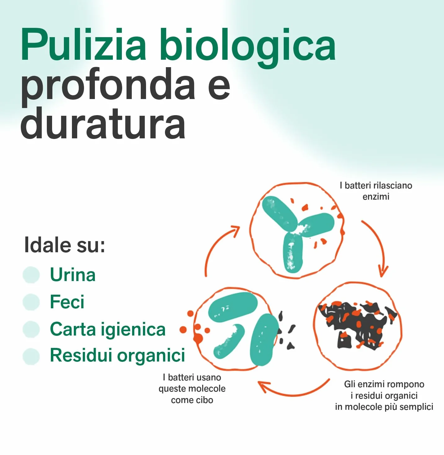 BactPro BactOut Additivo elimina odori per serbatoi acque nere e grigie 1L tappo dosatore