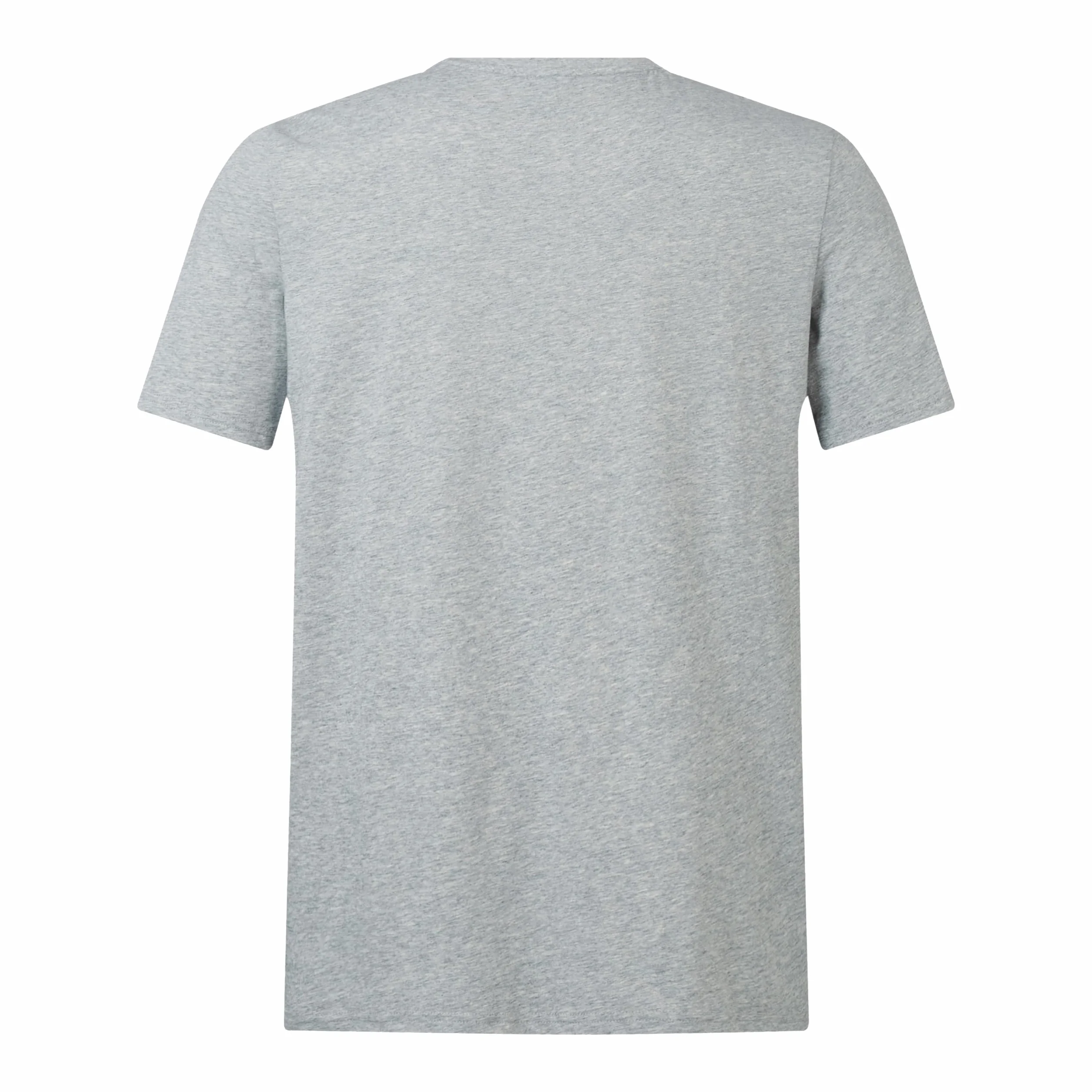 Canterbury Monumento Ai Leoni Britannici E Irlandesi Camicia Unisex Adulto