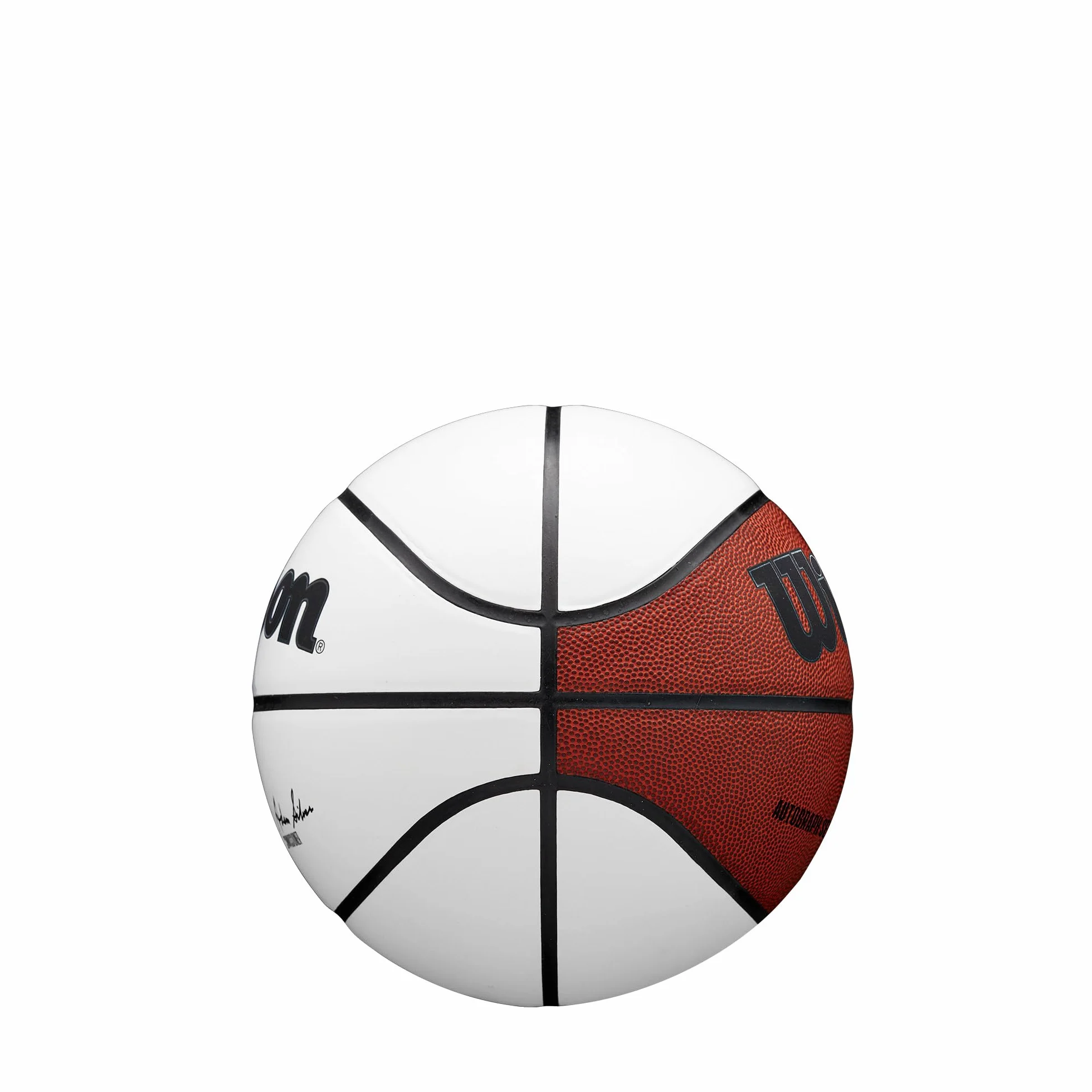 Wilson Palloni da basket NBA Alliance Series