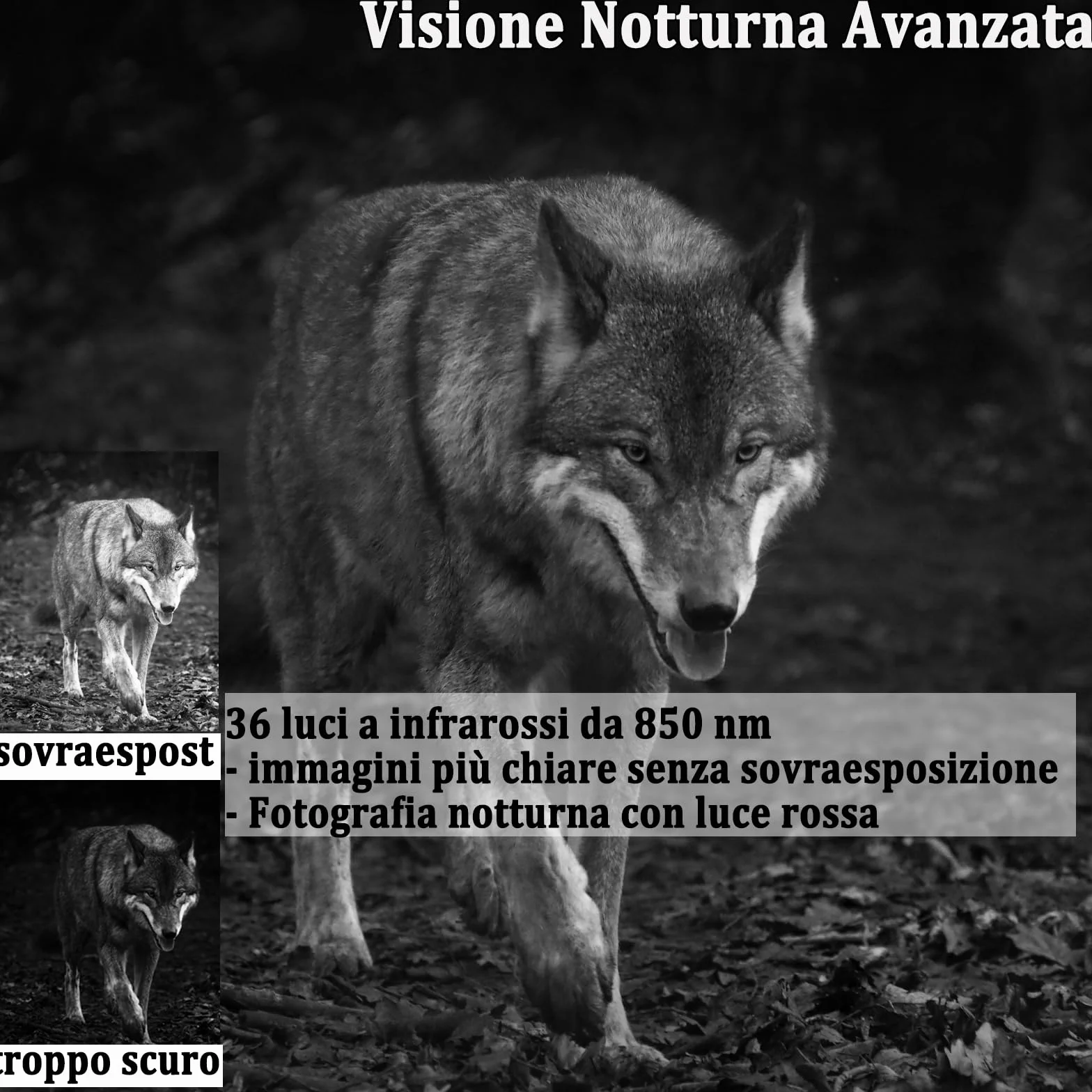 Fototrappola Caccia 50MP 4K IP65 Impermeabile Grandangolare 120° Infrarossi con SD 32GB HC808A