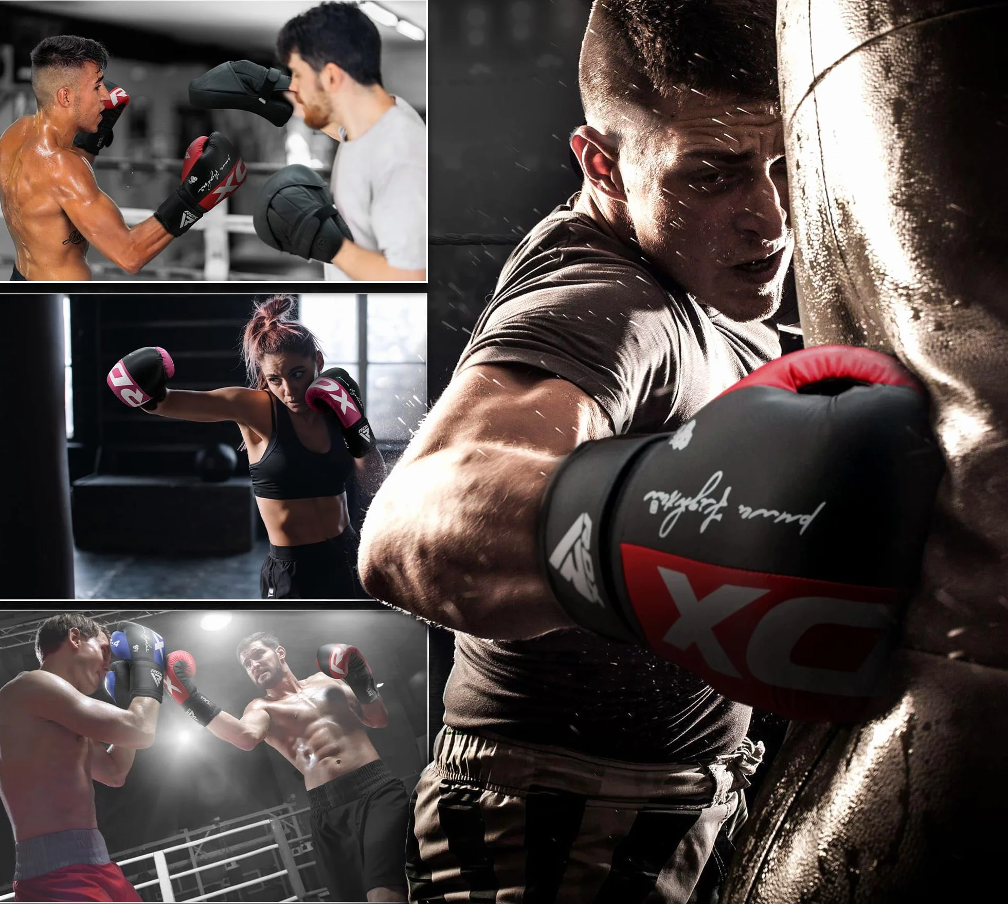 RDX Guantoni da Boxe Maya Hide Pelle Allenamento per Muay Thai Sparring 8 10 12 14 16 OZ