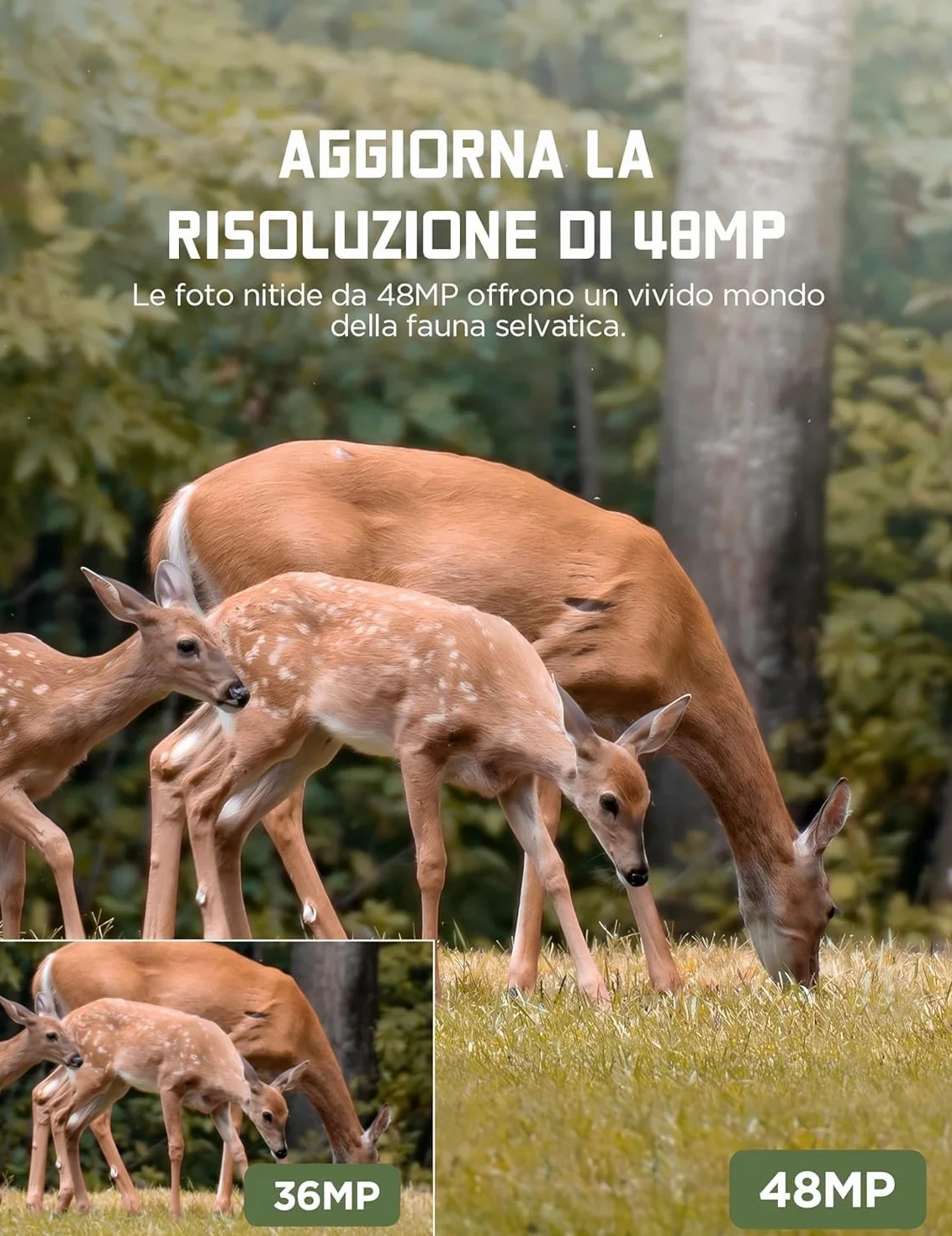 CEYOMUR Fototrappola 48MP 4K 30fps, Fotocamera Caccia con Visione Notturna IR, IP66 Impermeabile, 32GB SD e Batterie