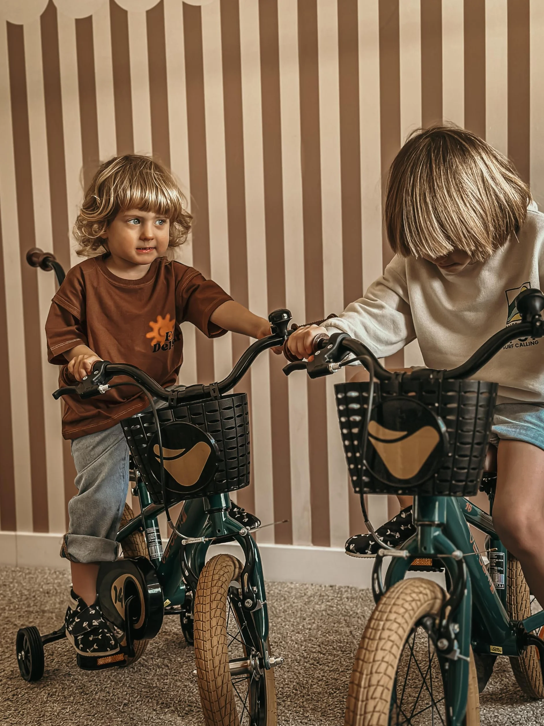 Sun Baby Verdant Bike Bicicletta per bambini 12/14/16 pollici ruota dimensioni 2-6 anni con rotelle