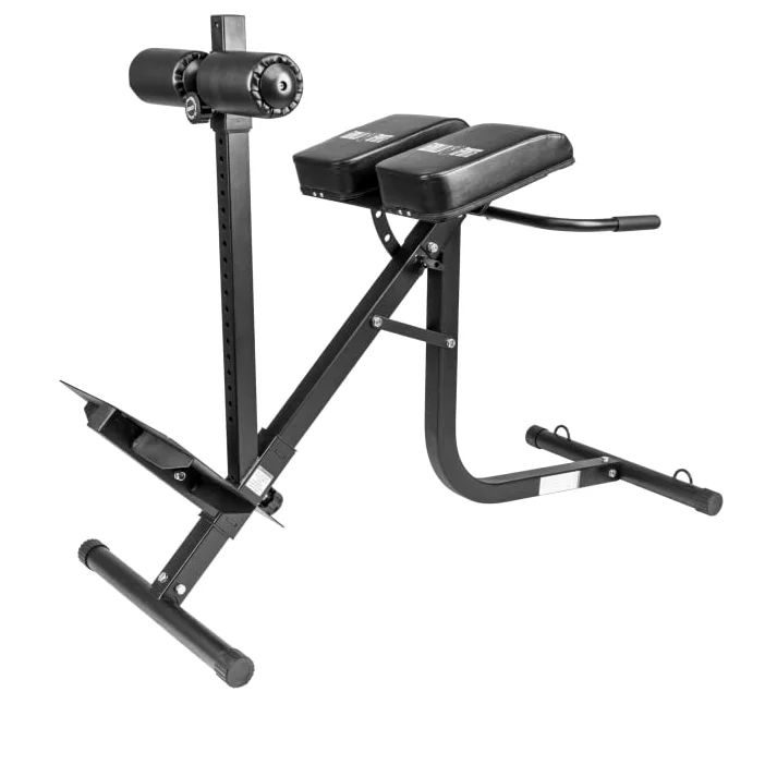 GORILLA SPORTS® Panca per Schiena e Addominali - con Fissaggio delle Gambe, Altezza Regolabile, Multifunzione, Inclinazione, Carico Massimo 200kg, Nero - Sedia Romana per Allenamento, Iperestensioni