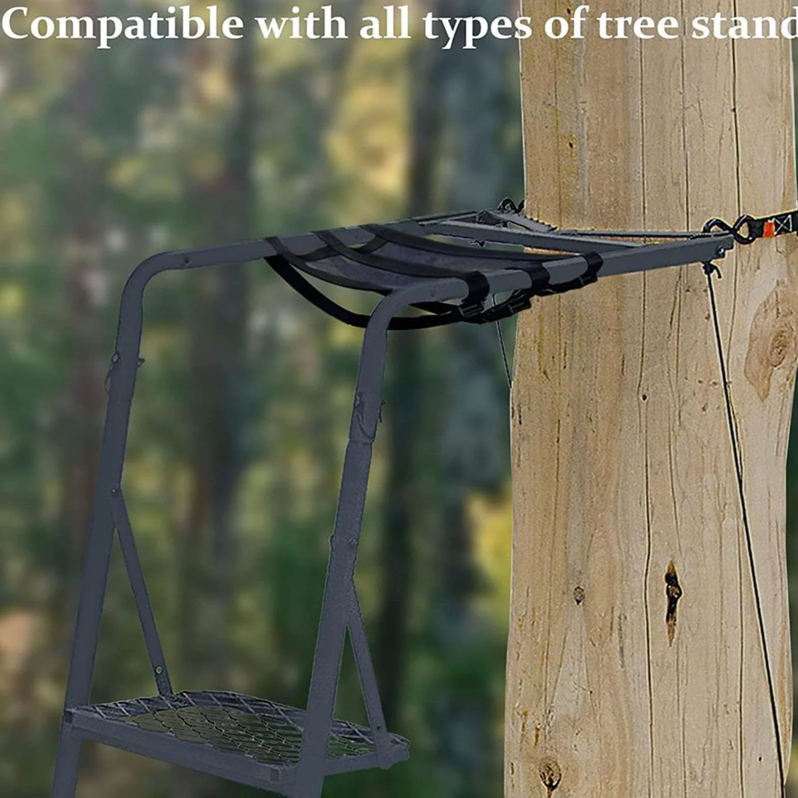 Sedile da arrampicata regolabile con supporto per albero – Fibbie autobloccanti