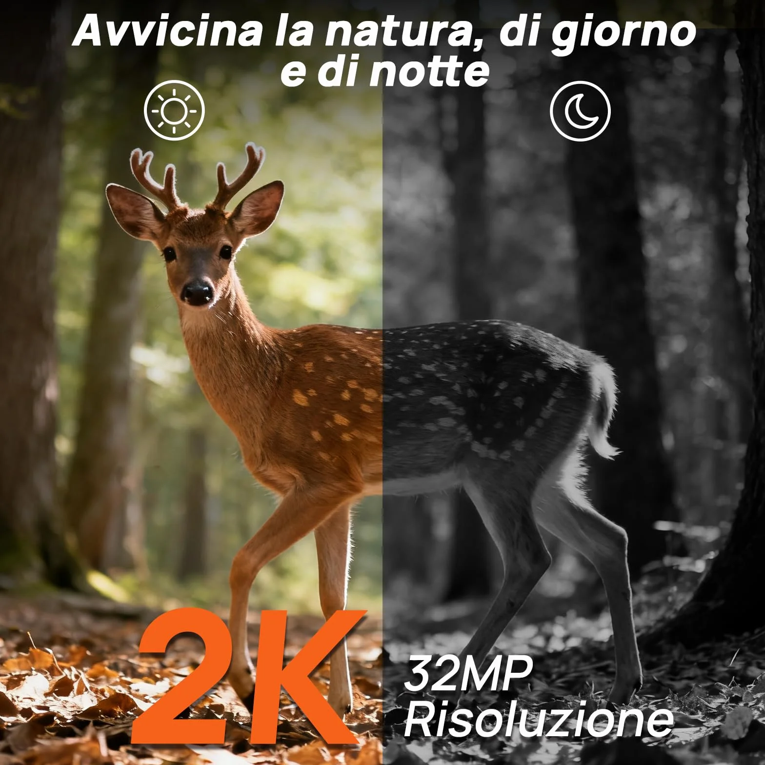 iZEEKER 2 in 1 Fototrappola Cloud 4G & Standard, 2K HD 48MP Visione Notturna, IP66