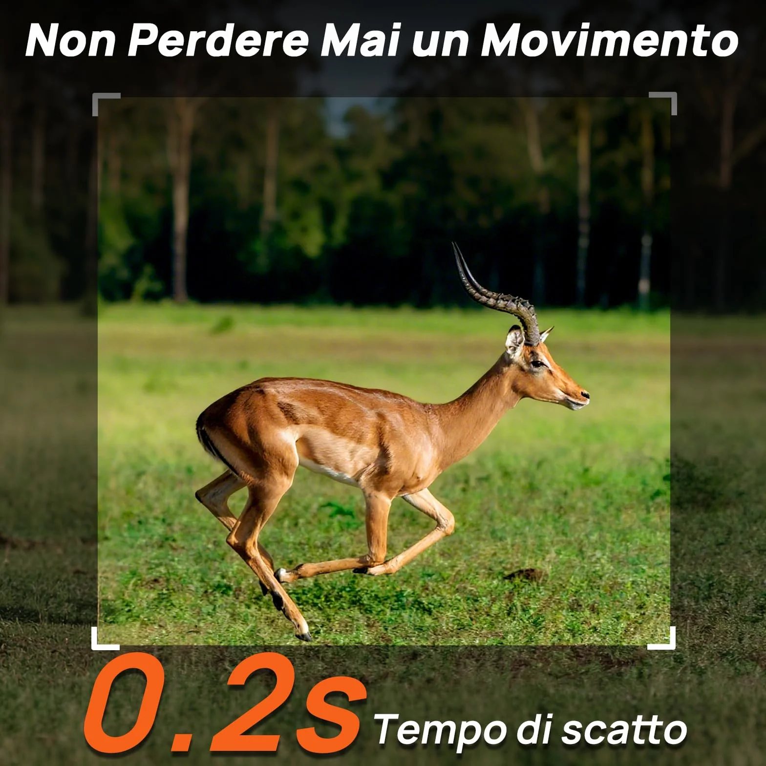 iZEEKER 2 in 1 Fototrappola Cloud 4G & Standard, 2K HD 48MP Visione Notturna, IP66