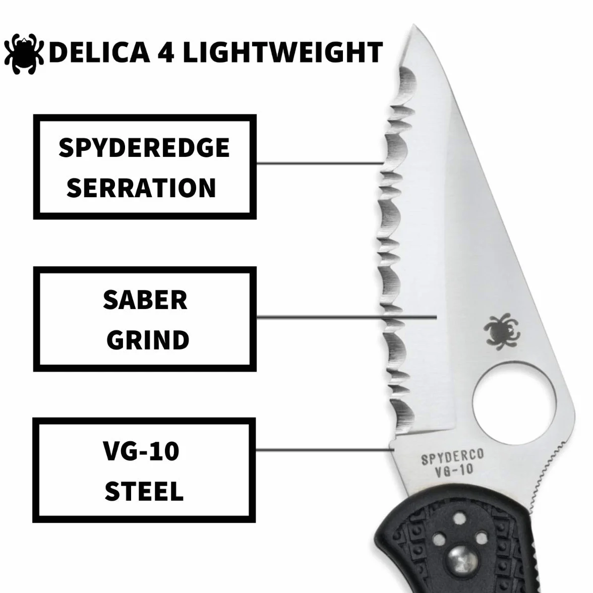 Spyderco Delica 4 C11SBK Coltello Seghettato