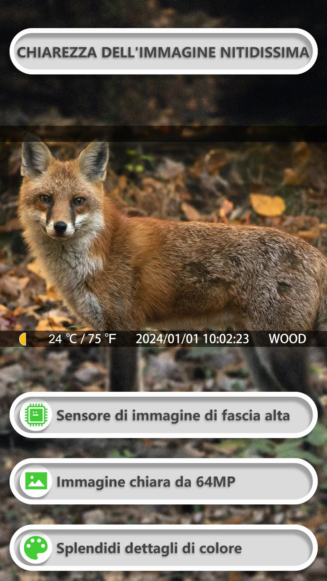 GardePro E8P Fotocamera da Caccia WIFI 8000mAh 64MP 1296P Visione Notturna