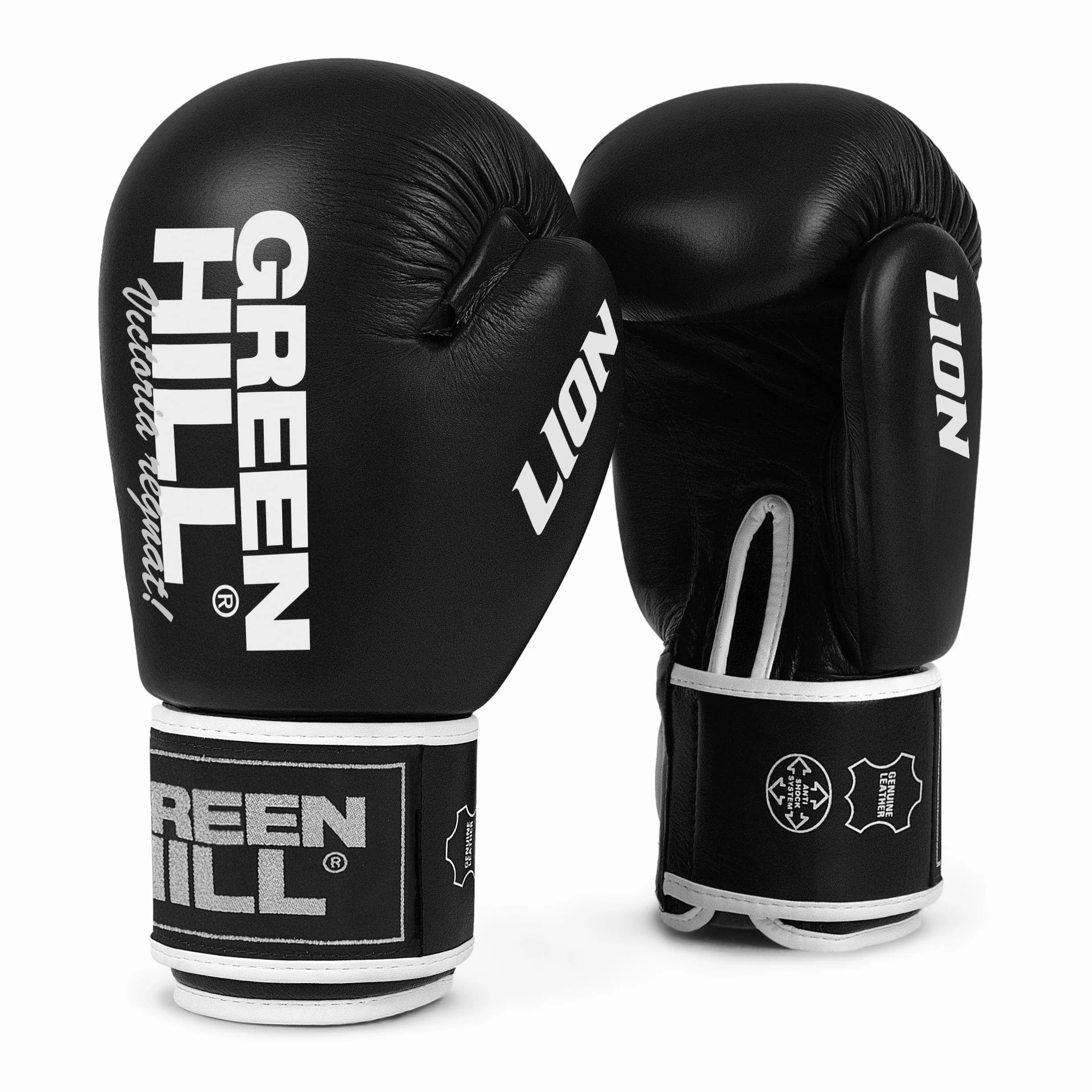 GREEN HILL Guanti Boxe Lion Pelle Antishock Pugilato