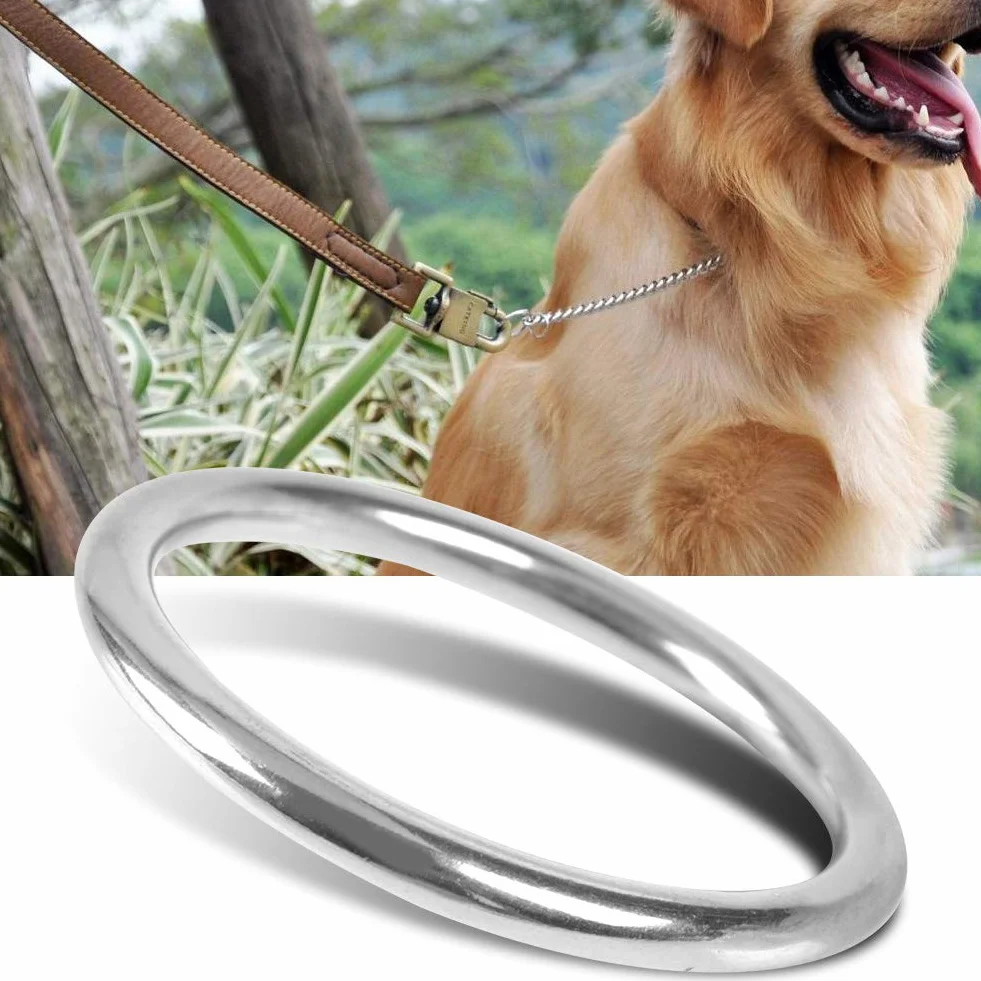 Anello in acciaio inossidabile saldato lucido O Ring per guinzaglio cane cintura campeggio