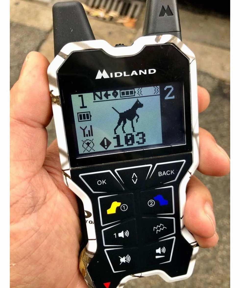 Beeper One GPS Localizzatore per Cani Copertura 2,5 Km Avviso Vibrazione Display Telecomando