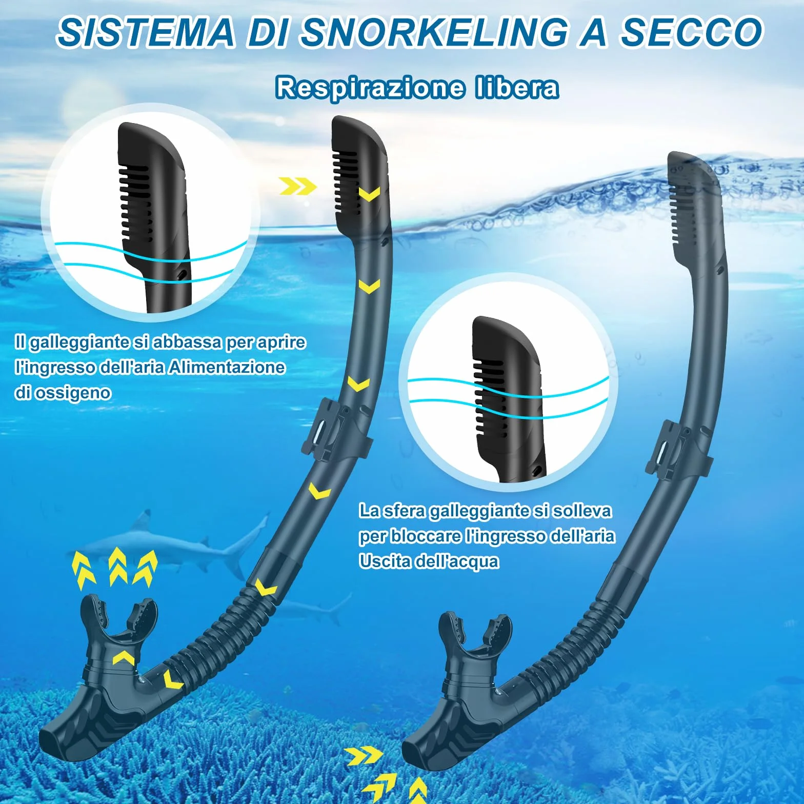 IEEILULU Set da Snorkeling per Adulti, Set di Boccaglio con Maschera Subacquea, Snorkel Semi Asciutto e Pinne Regolabili, Set da Immersione per Adulti Snorkeling Avventura Subacquea
