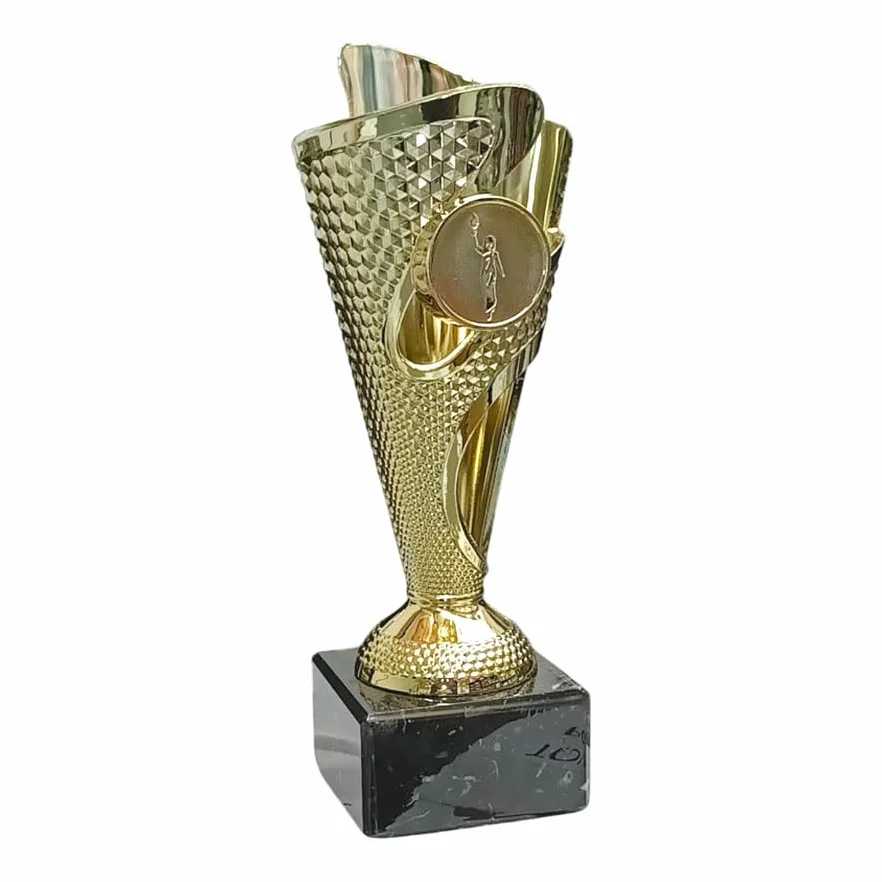 Targhetta personalizzata Coppa dorata 17,50 cm