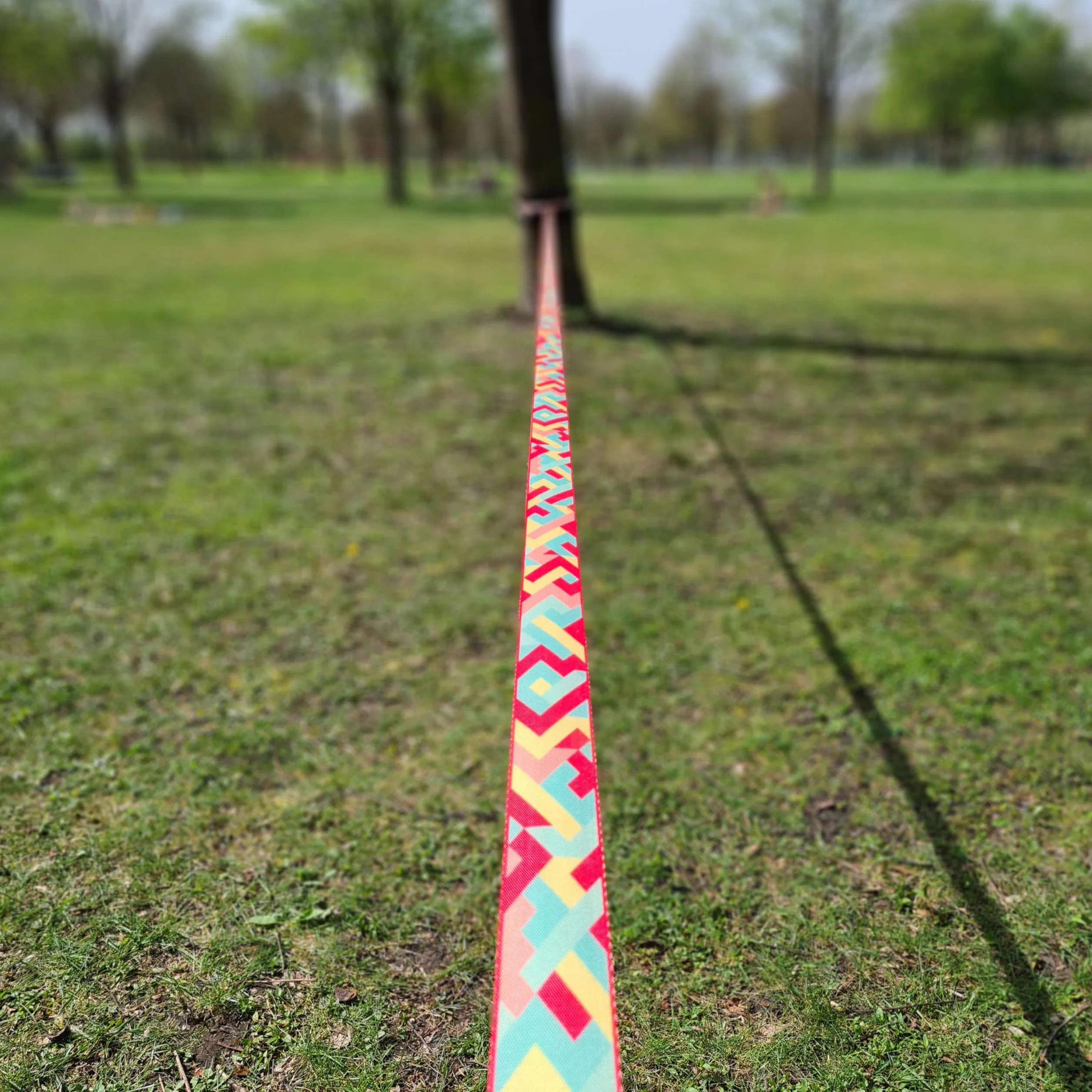 Slackline Set 5 cm con protezione albero e cricchetto