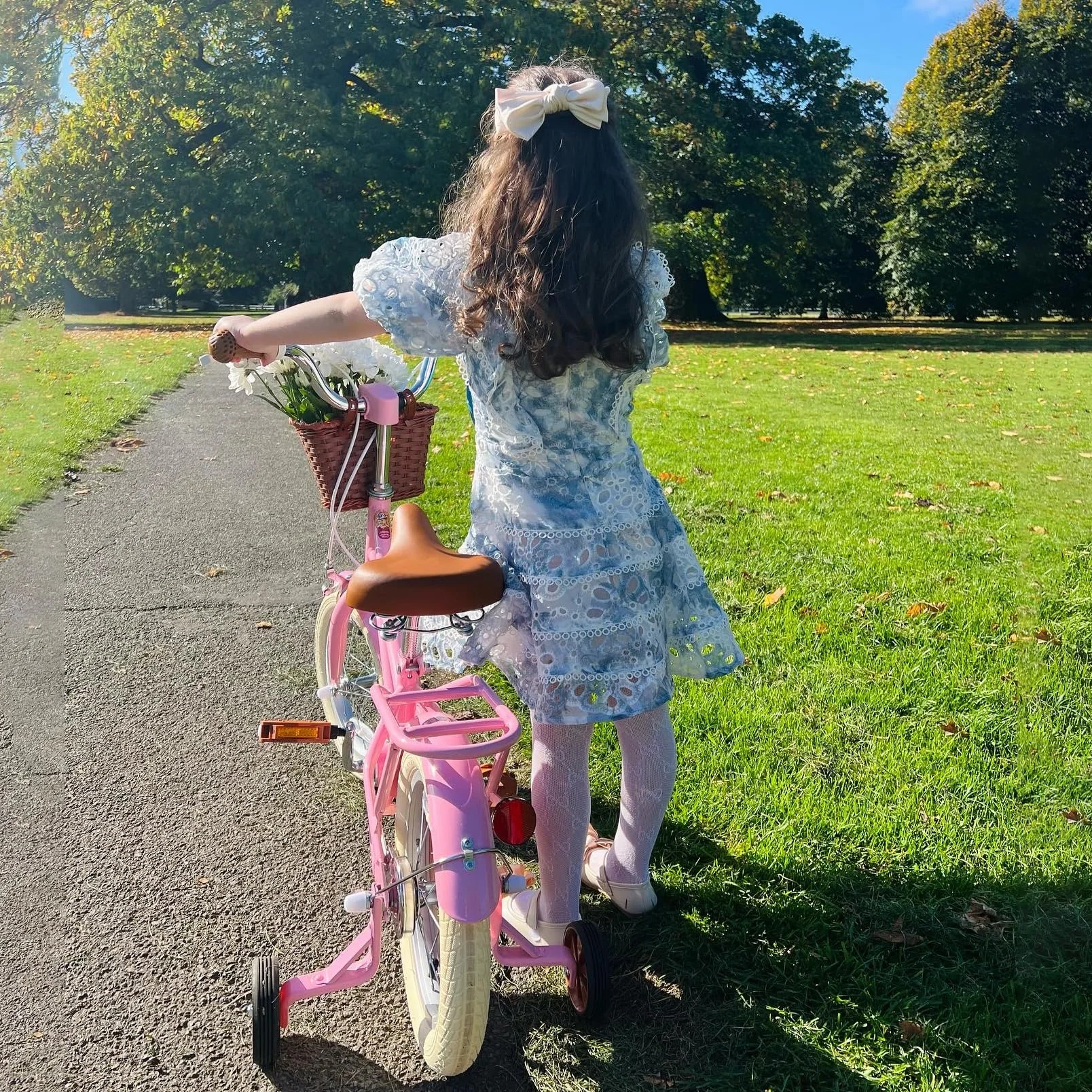 Bicicletta per bambini 12-18 pollici con cestino e ruote stabilizzatrici verde e rosa
