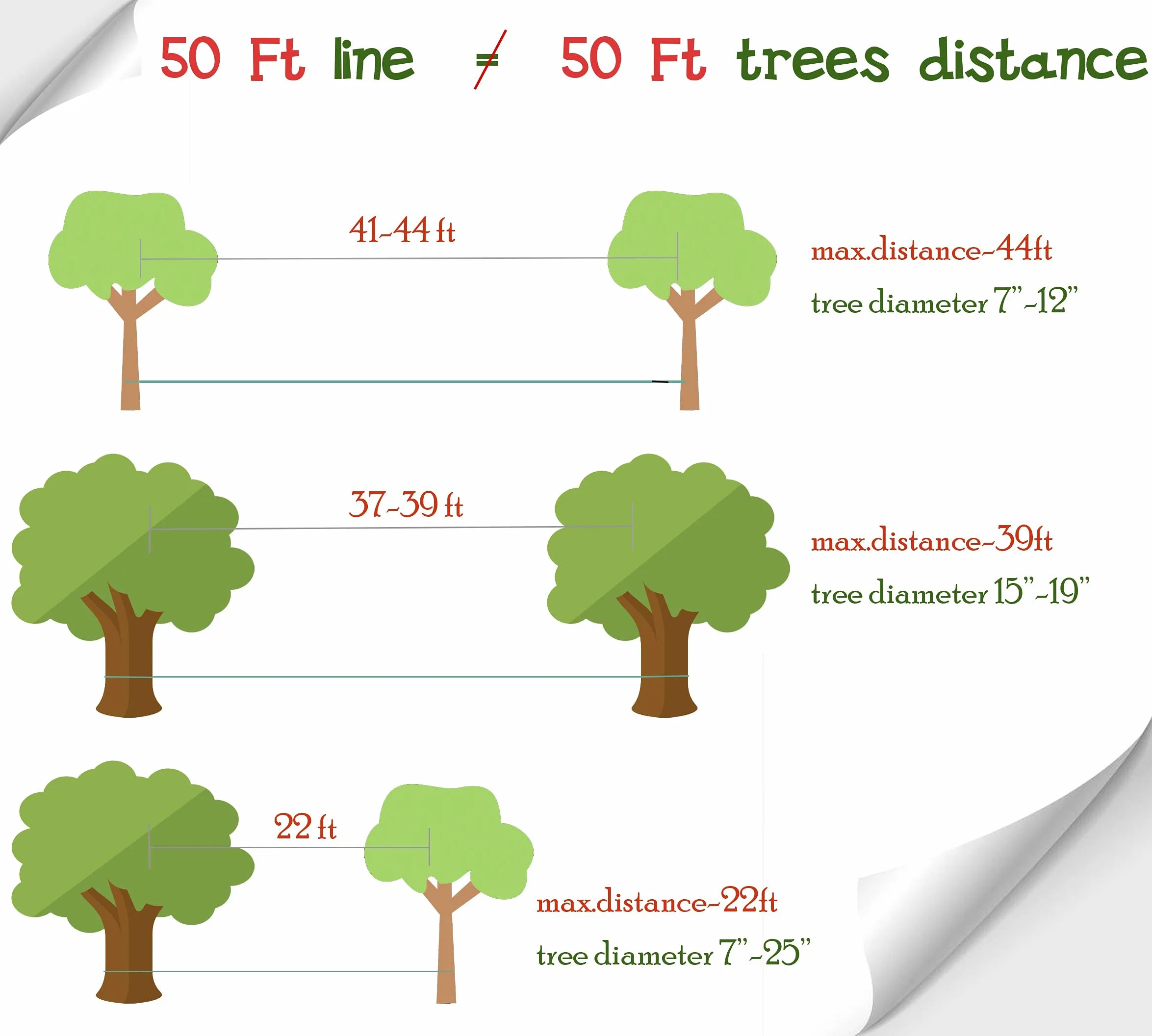 Slackline per allenamento dell'equilibrio 50' con cricchetto industriale resistente, protezione alberi e borsa trasporto