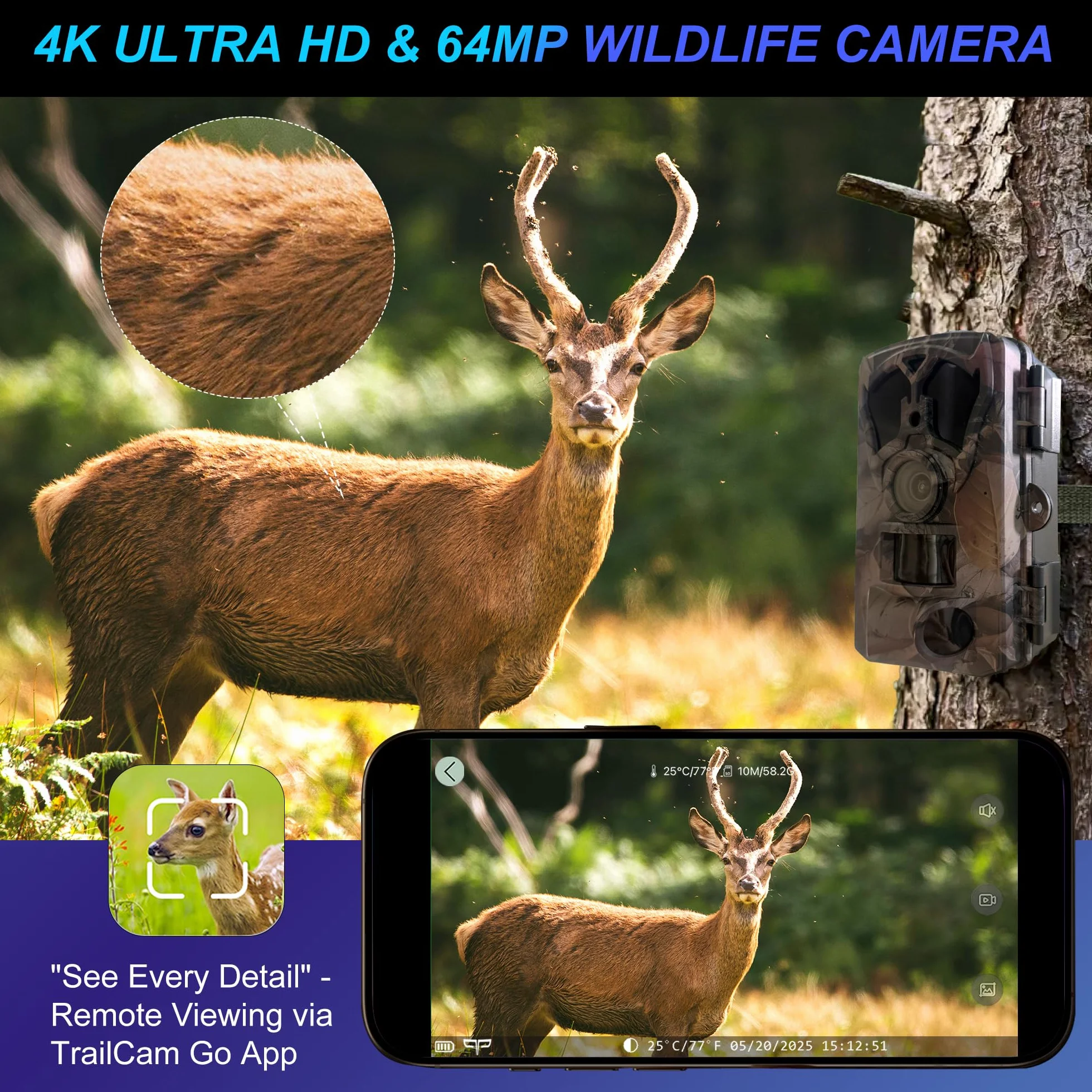 Origem Fototrappola Notturna WiFi 64MP 4K con 64GB SD e App, Fotocamera Caccia 0.1s IR Invisibile 940nm 120° Ultra Grandangolo, Visione Notturna 25m IP66