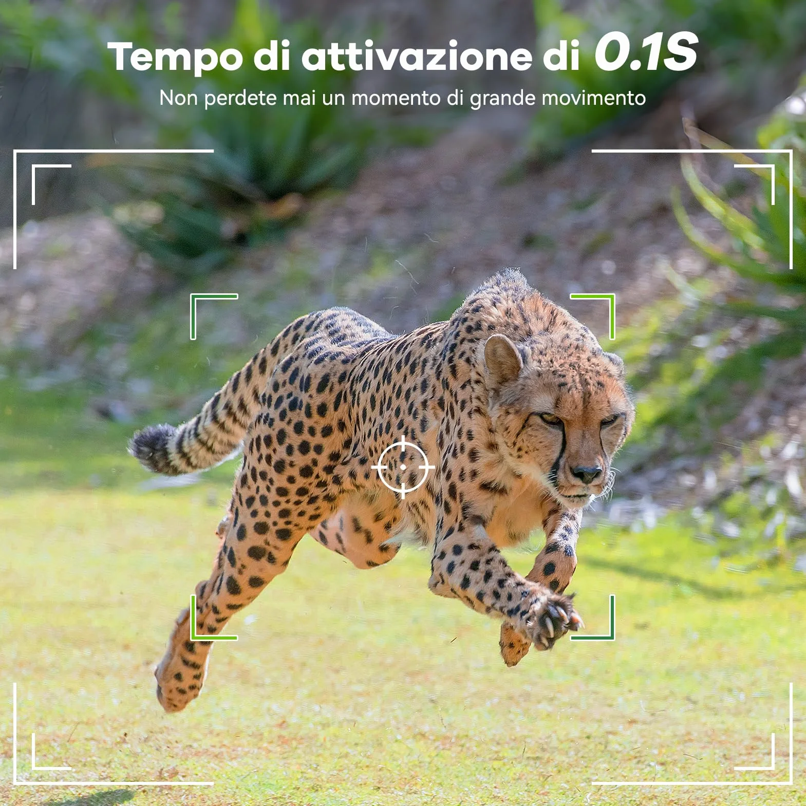 DEATTI Fototrappola WIFI 4K 48MP con Scheda SD 32GB Visione Notturna Impermeabile IP66