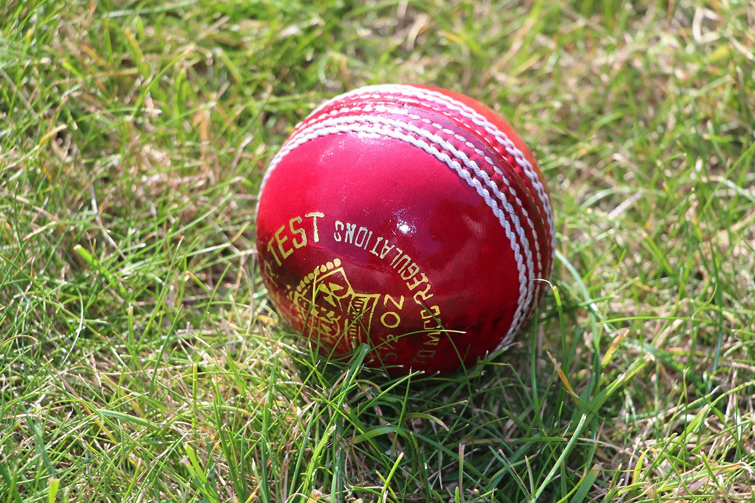Palline da cricket Premium, confezione da 6