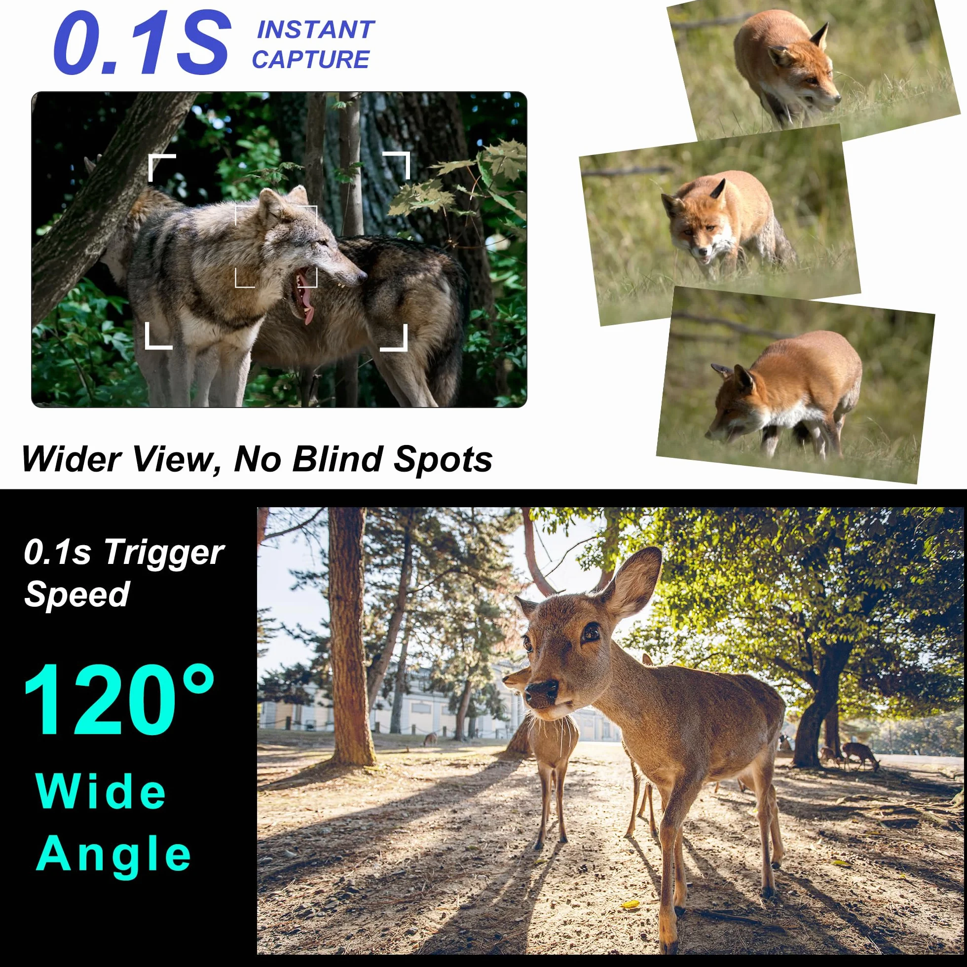 Origem Fototrappola Notturna WiFi 64MP 4K con 64GB SD e App, Fotocamera Caccia 0.1s IR Invisibile 940nm 120° Ultra Grandangolo, Visione Notturna 25m IP66
