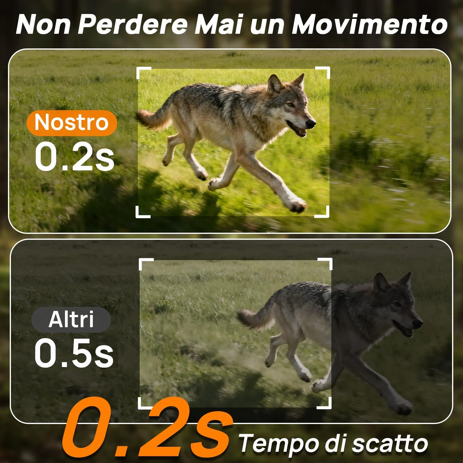 iZEEKER 2 en 1 Fototrappola Solare 4G LTE con SIM e 64GB Scheda Micro SD, HD 48MP Fotocamera Caccia Visione Notturna, Batteria 5200mAh, APP Controllo Remoto, IP66 Impermeabile