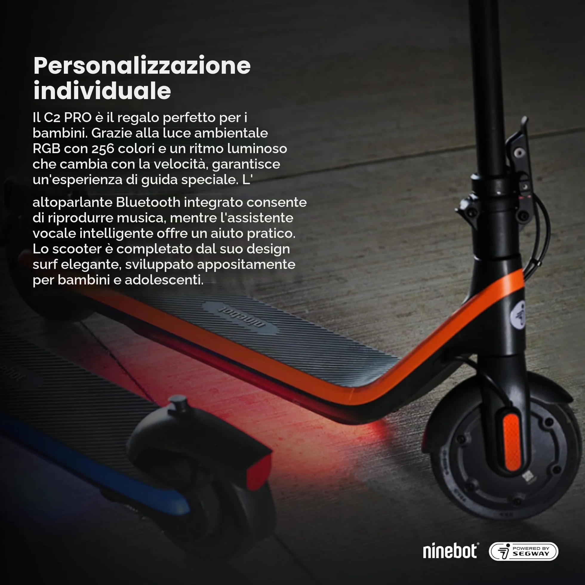 Segway-Ninebot C2