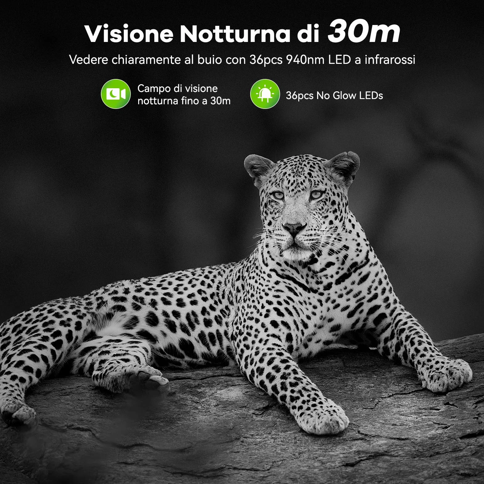 DEATTI Fototrappola WIFI 4K 48MP con Scheda SD 32GB Visione Notturna Impermeabile IP66