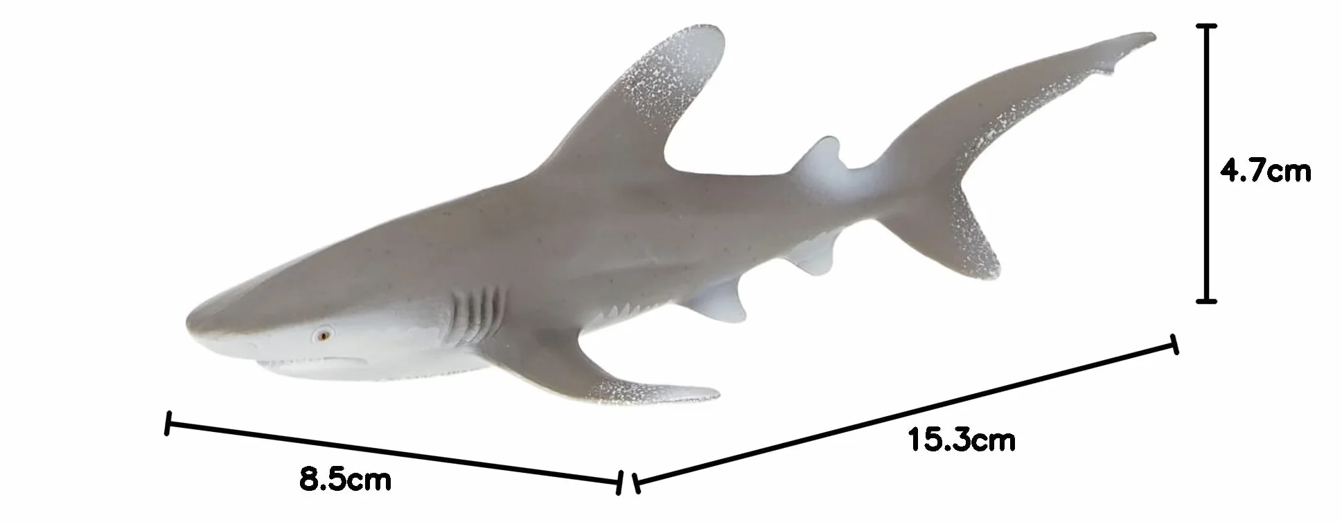 Oceanic Whitetip Shark