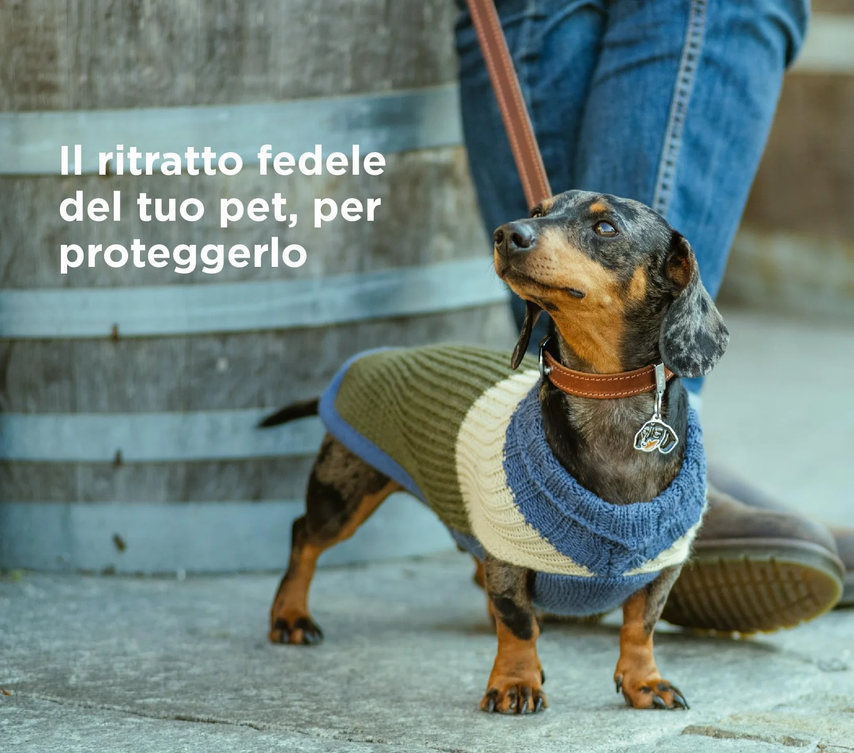 MyFamily Medaglietta per Cane Beagle Targhetta Cane Smaltata a Mano Metallo 27x30 mm