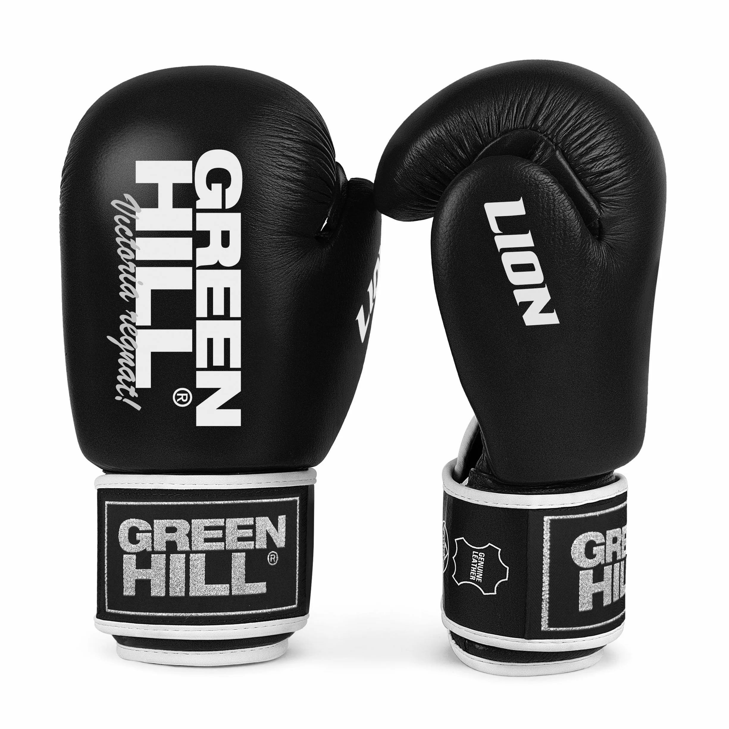 GREEN HILL Guanti Boxe Lion Pelle Antishock Pugilato