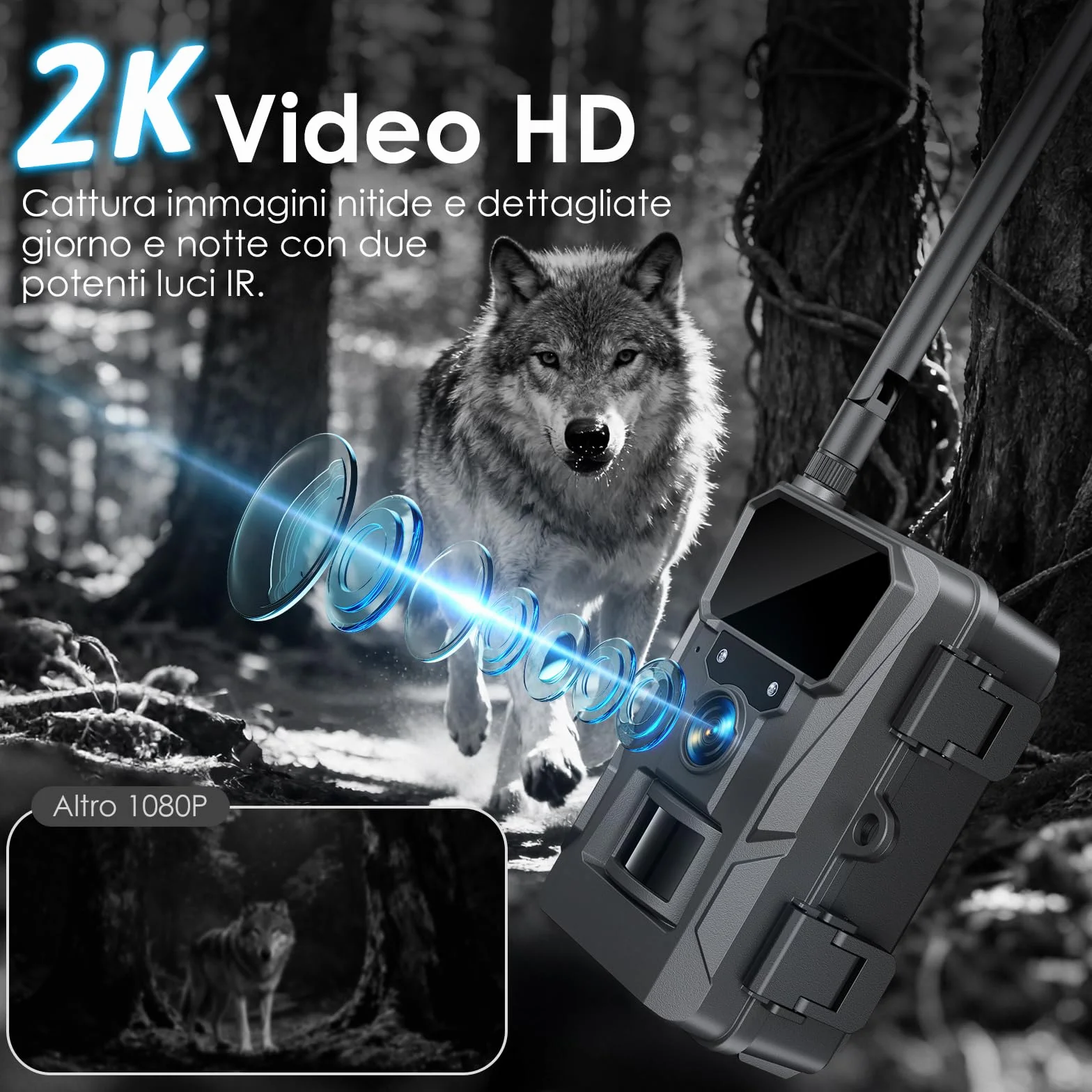 WOLFANG Fototrappola 4G LTE Solare 2K con Scheda SIM e 64GB SD, Visione Notturna, IP66, Nero