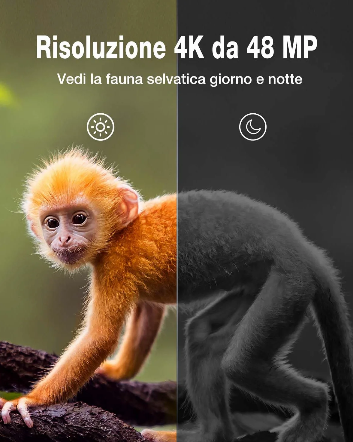 WOLFANG Fototrappola 4K 48MP HD Fotocamera Caccia 38 LED Infrarossi Invisibili 940nm IP66 Impermeabile Visione Notturna