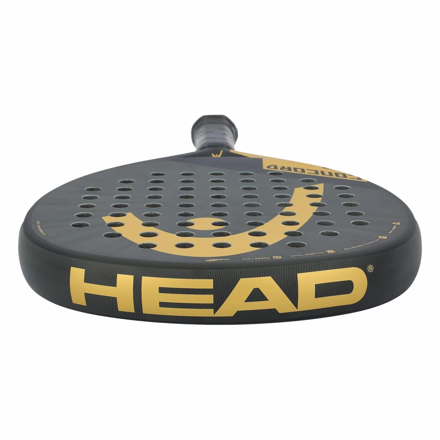 Head CONCORD 2025