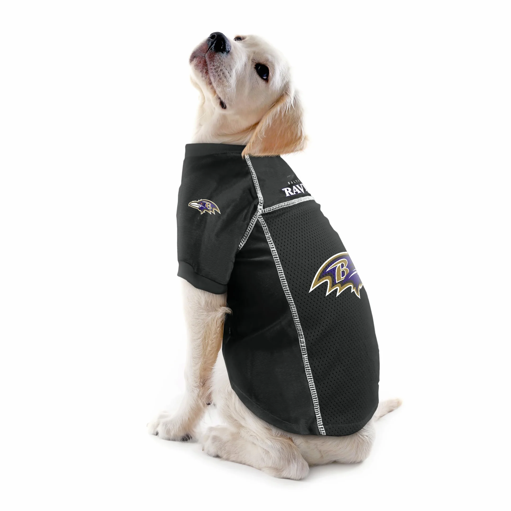 Little Earth Productions Littlearth Casacca Basica per Animali Domestici NFL