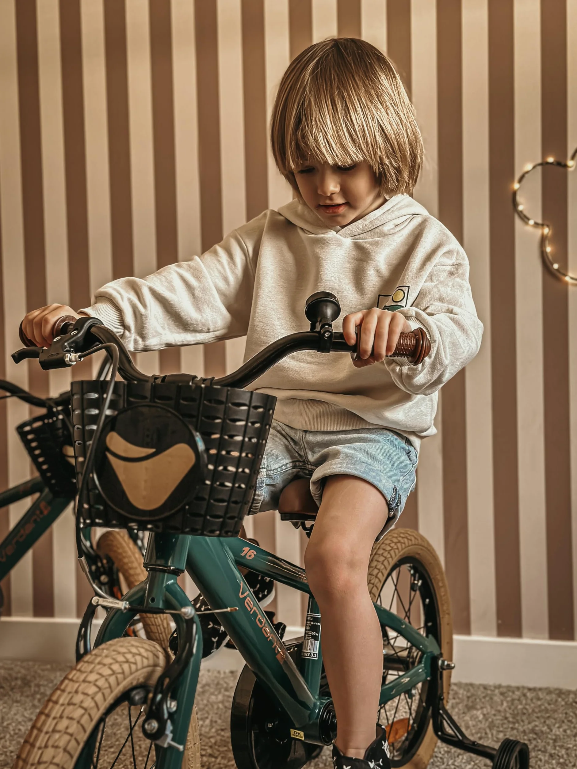 Sun Baby Verdant Bike Bicicletta per bambini 12/14/16 pollici ruota dimensioni 2-6 anni con rotelle