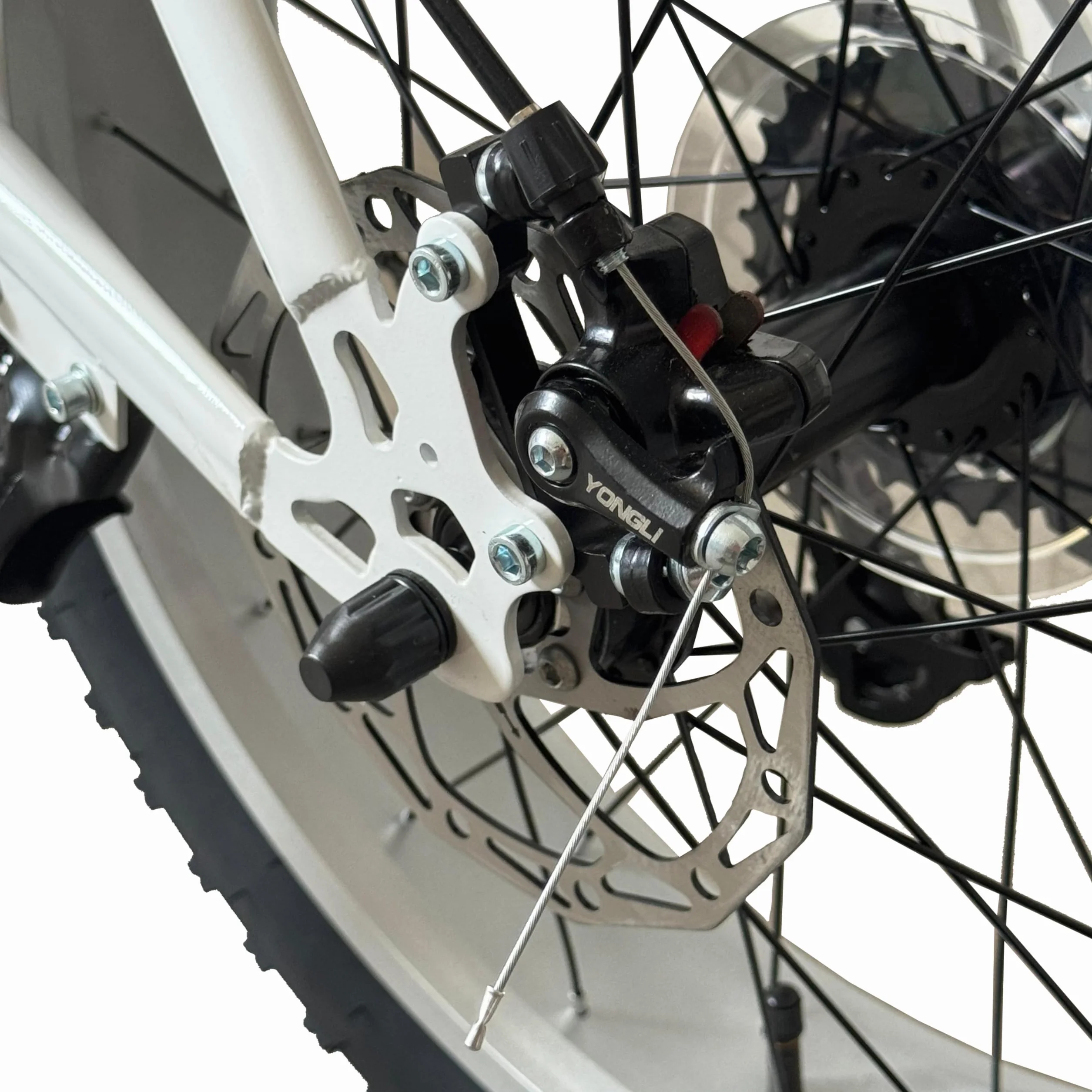 FATWHEEL Bicicletta Bambini 20" Fat Bike Freni a Disco Ruote Grosse MTB Tutti Terreni 7-12 Anni
