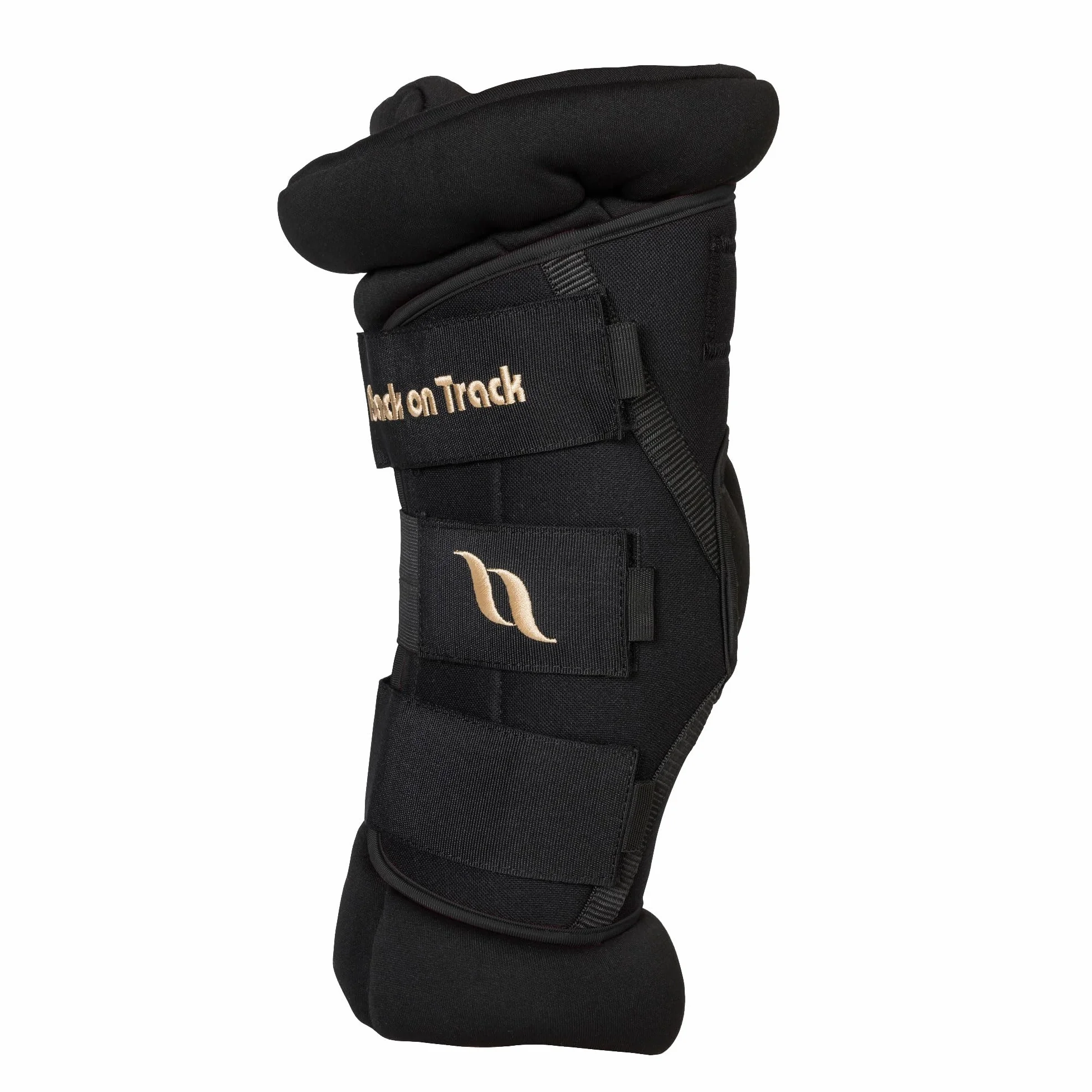 BACK ON TRACK Royal Deluxe - Stivali da salto imbottiti con fori